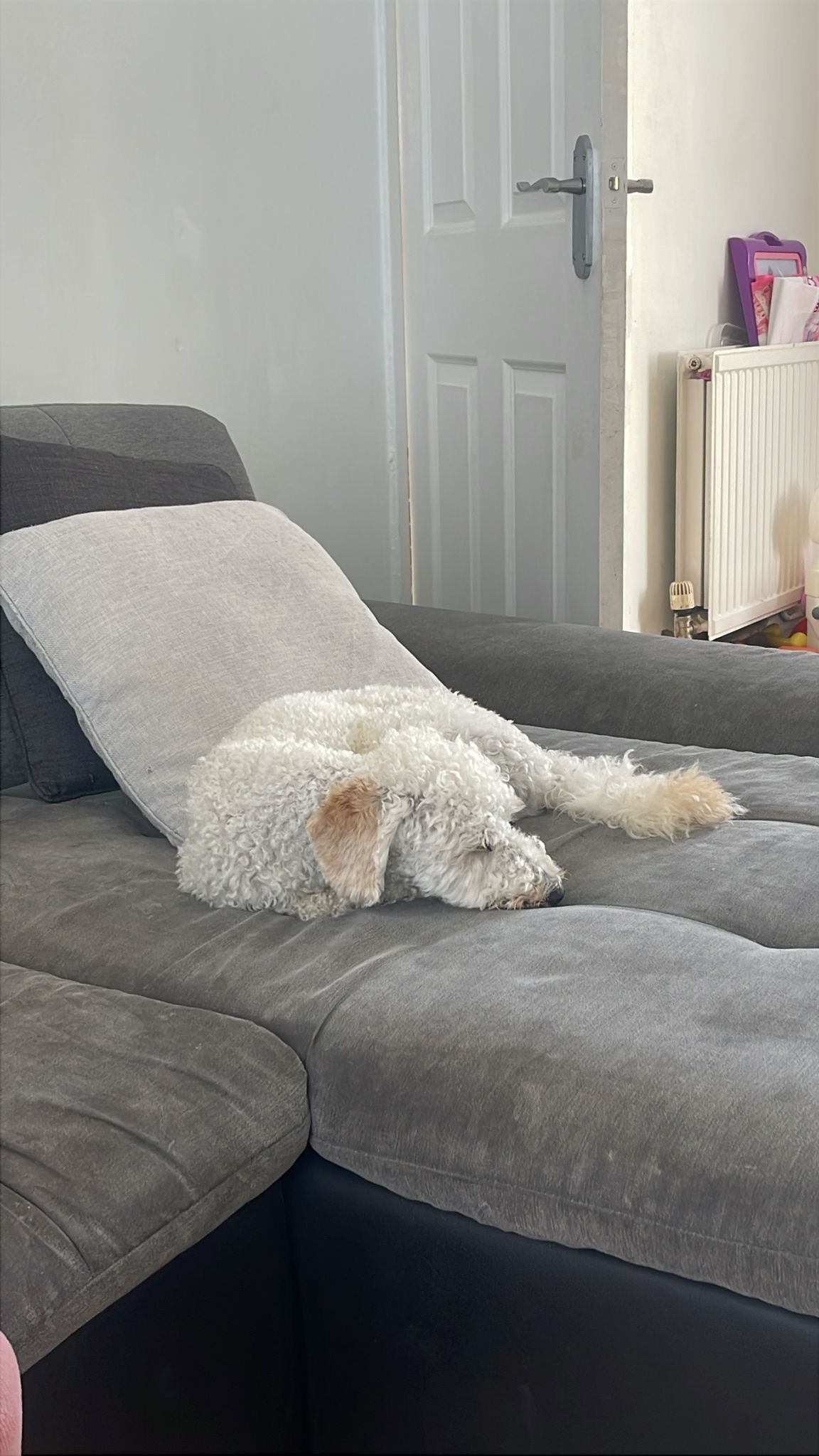 image-19
