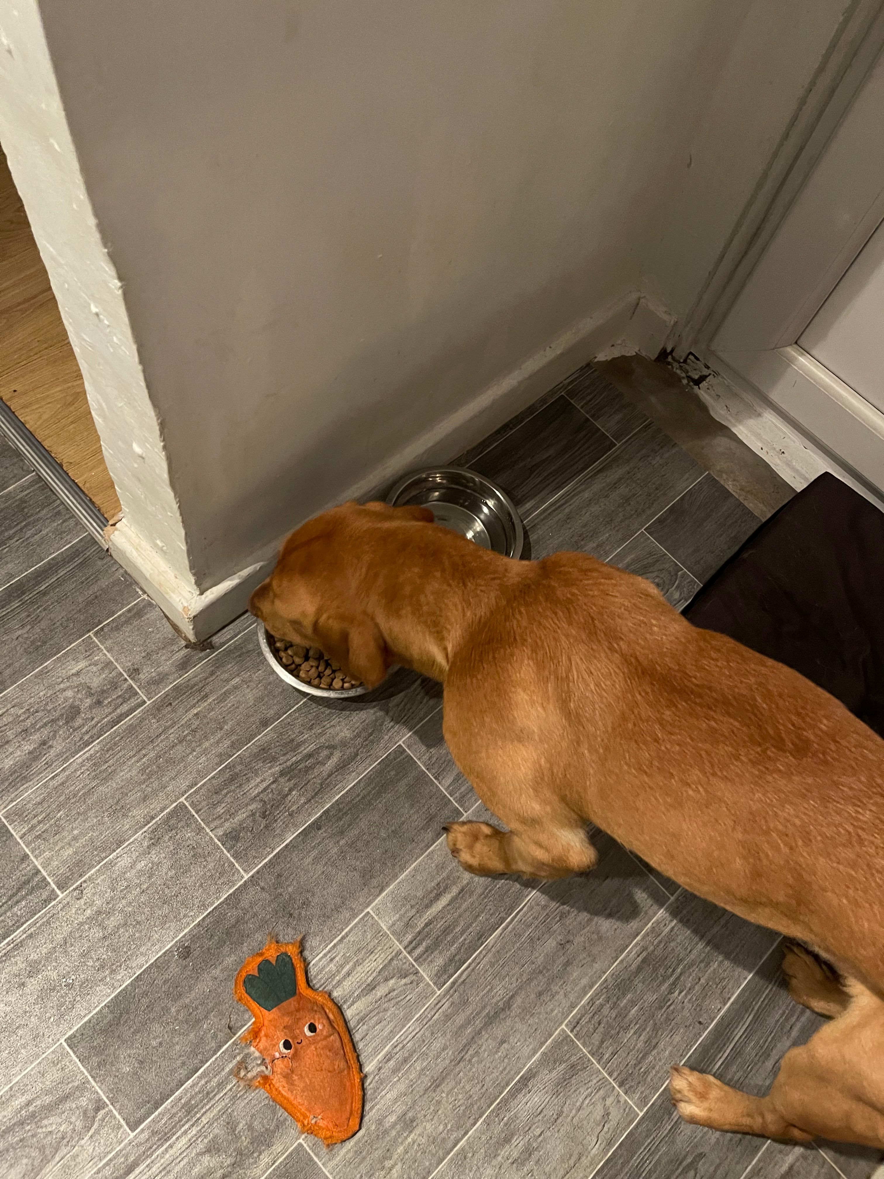 image-14