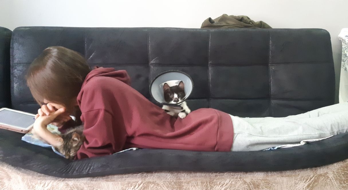 image-4