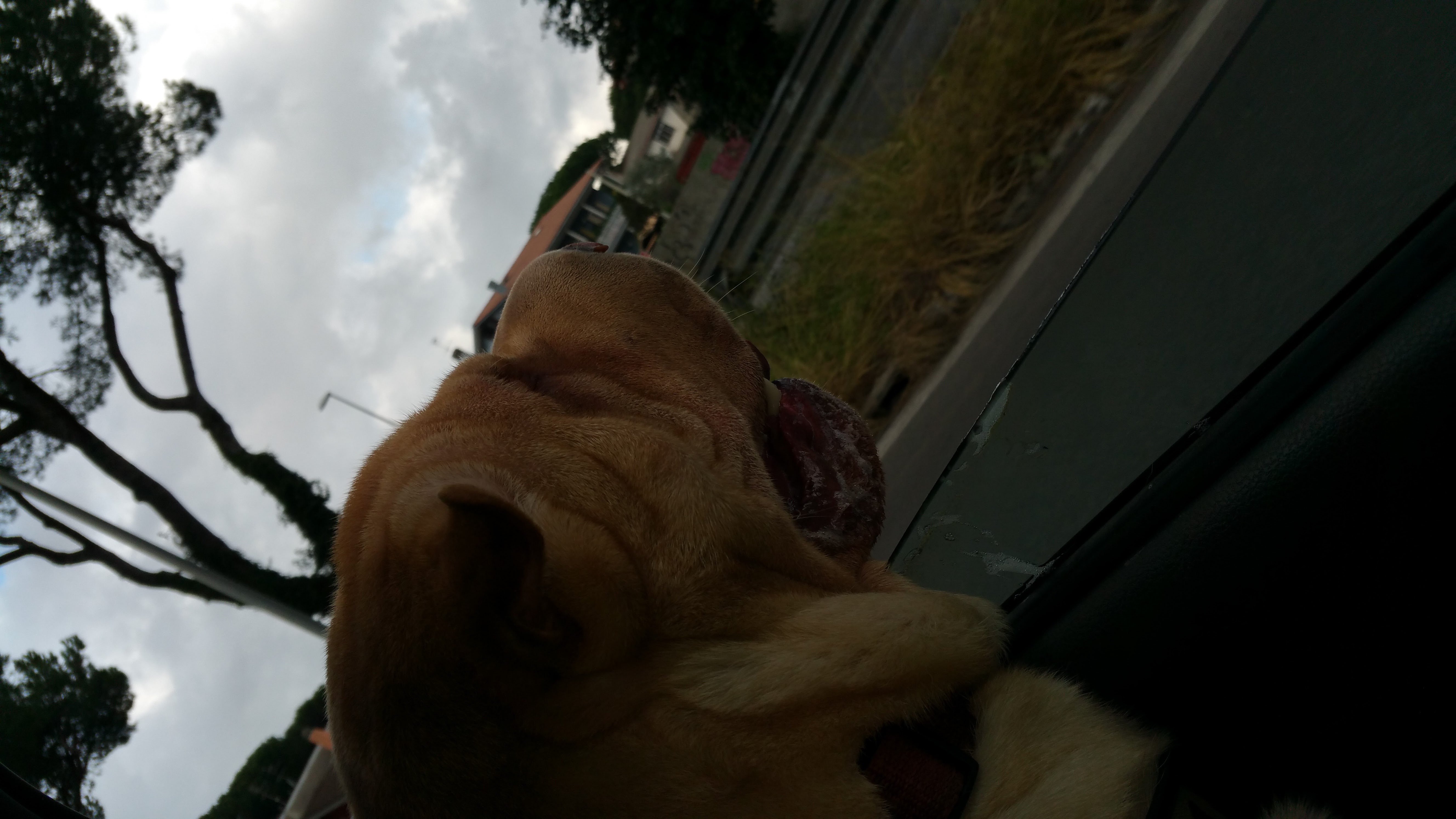 image-4