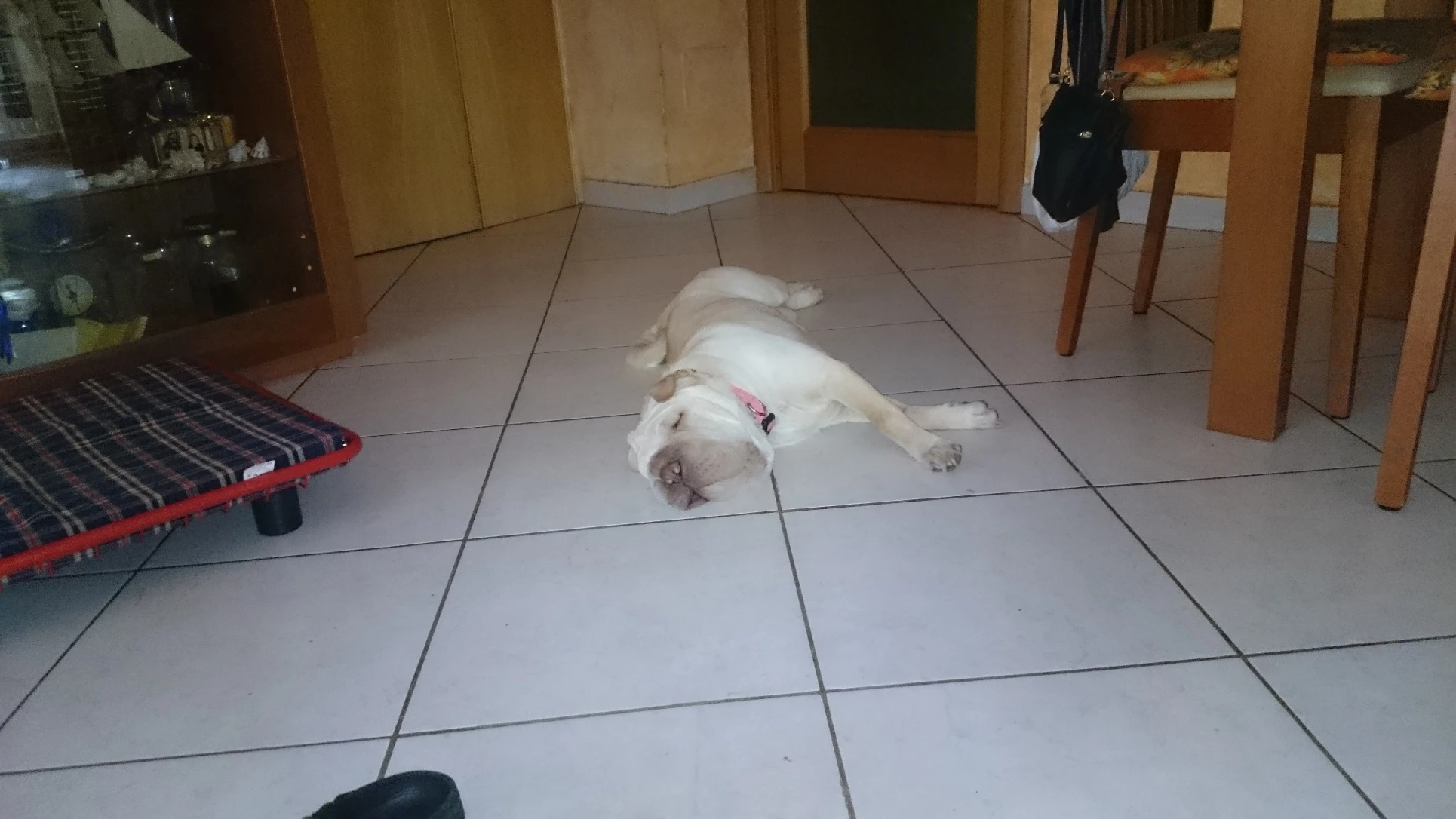image-11
