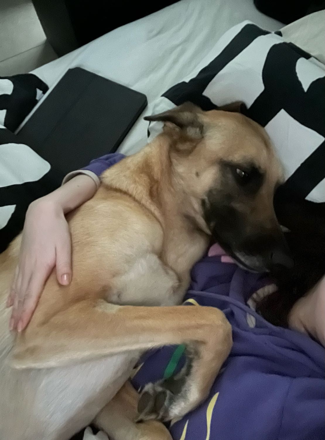 image-9