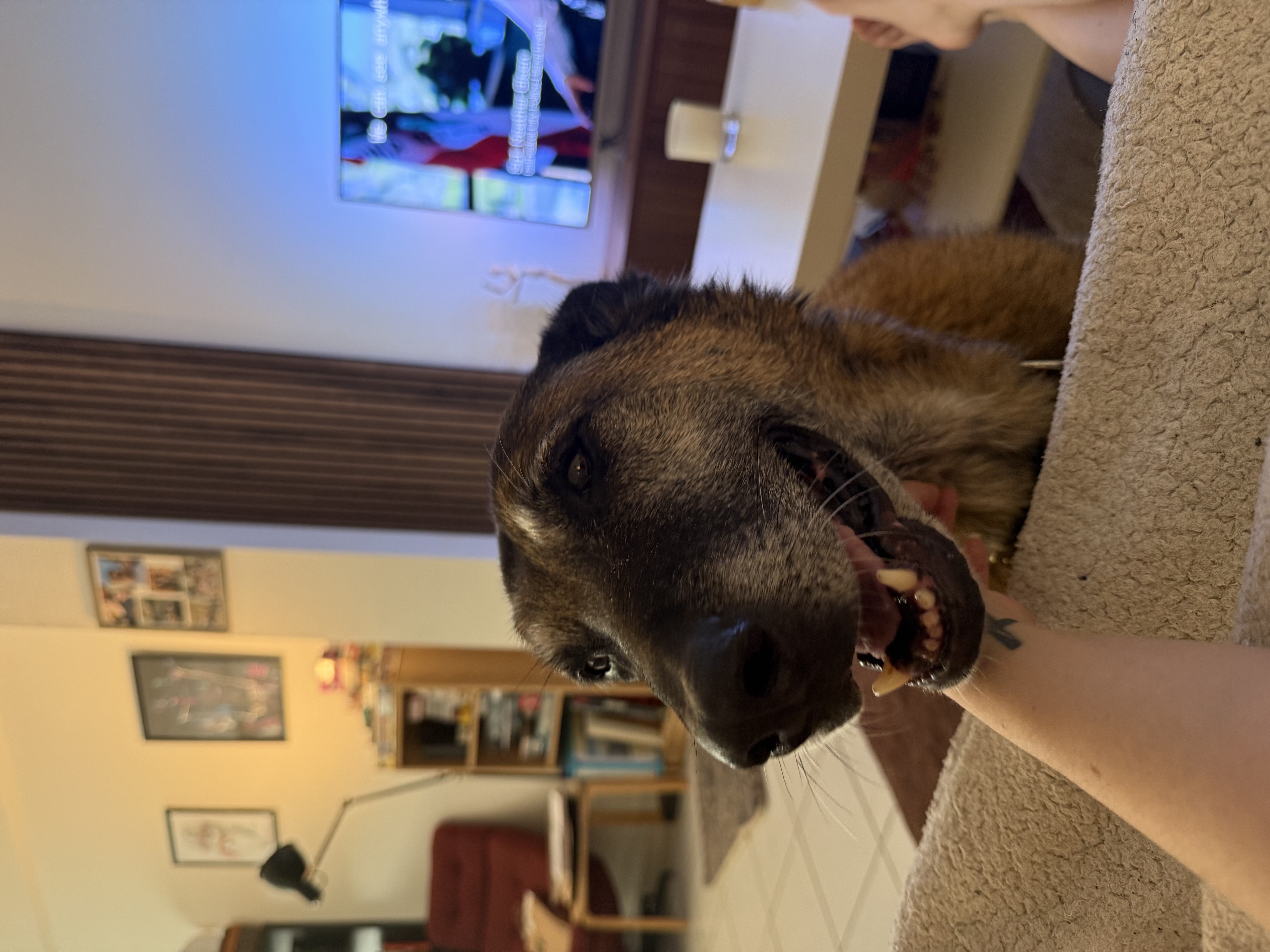 image-16