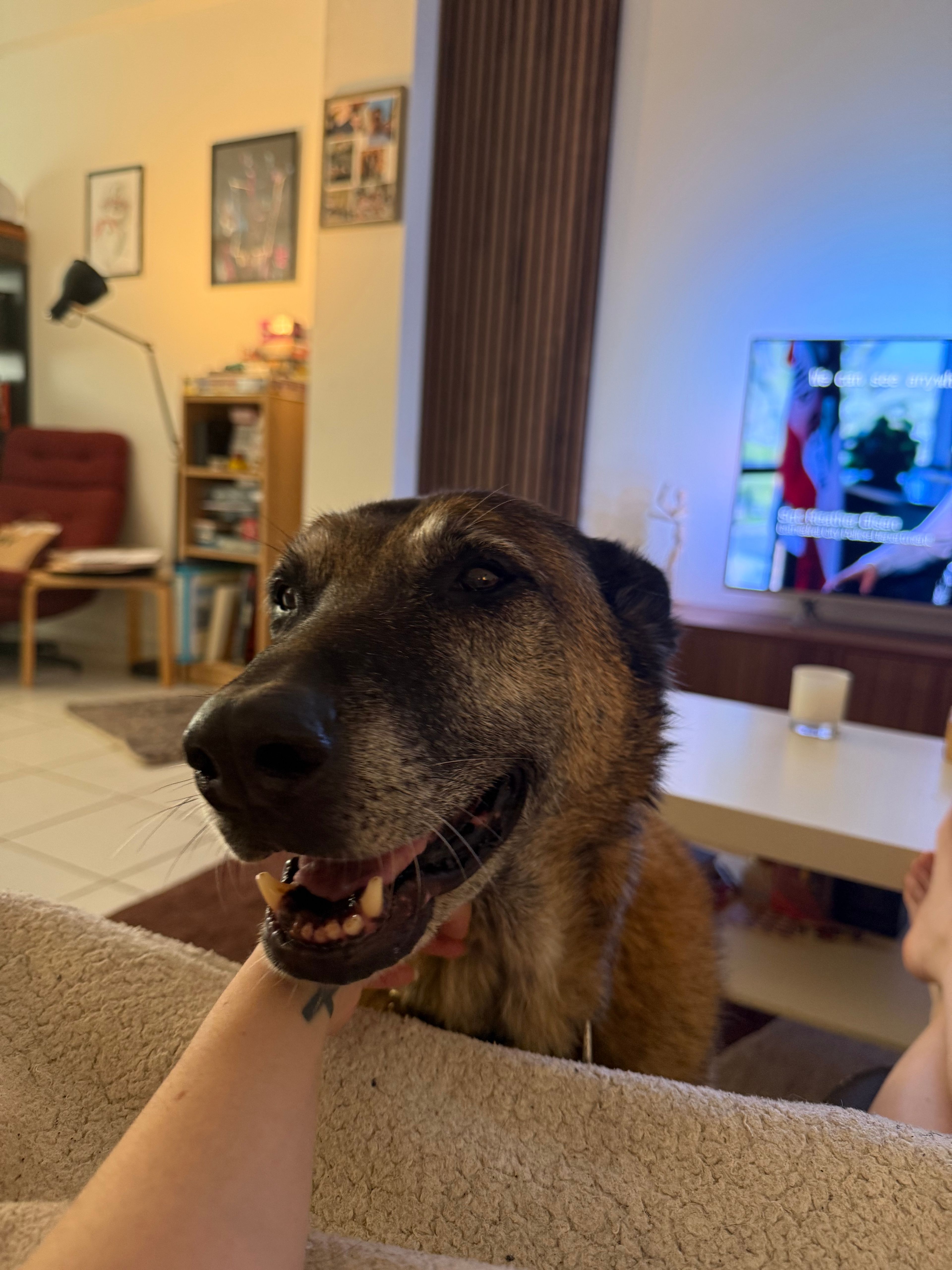 image-16