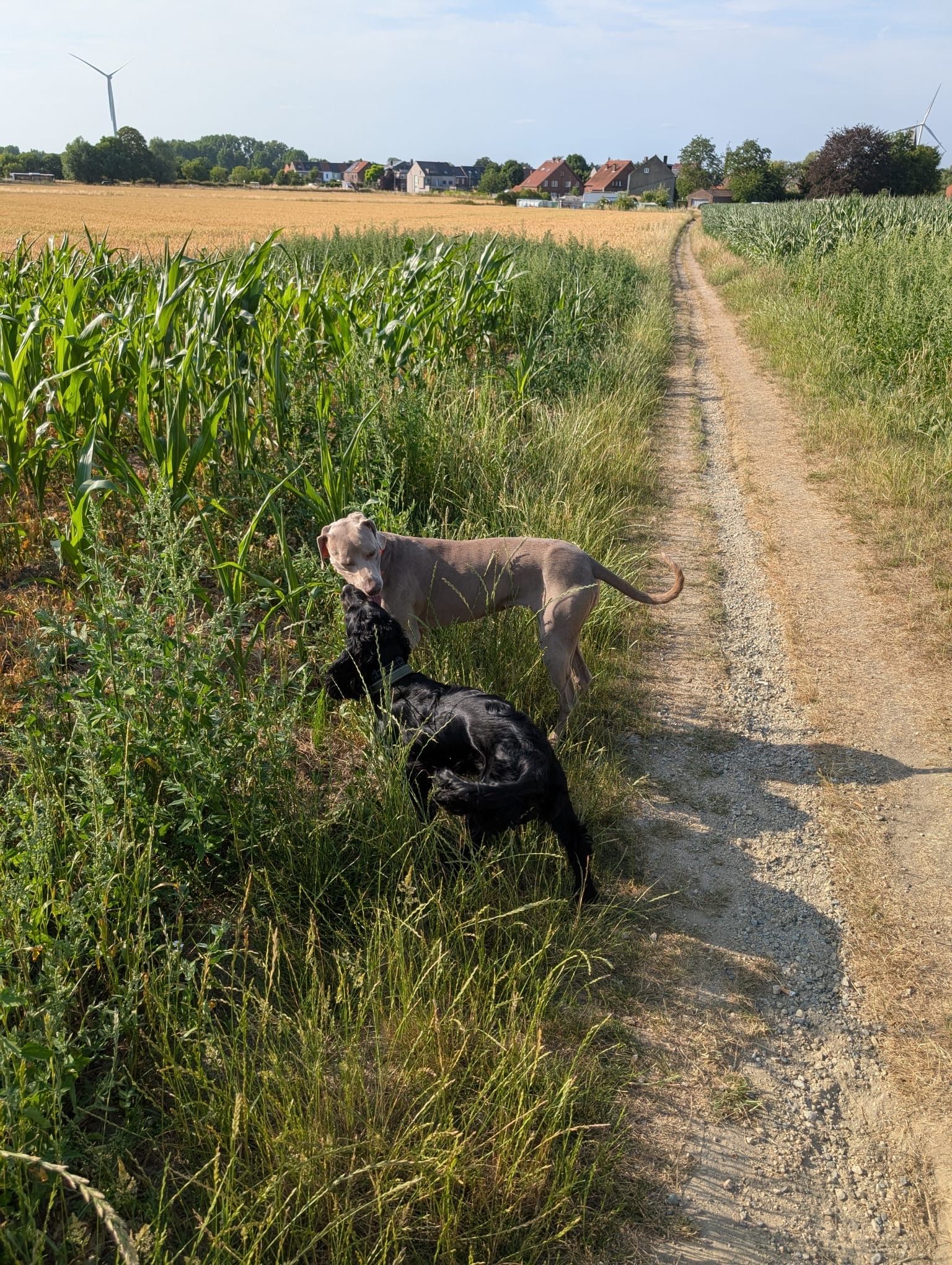 image-14