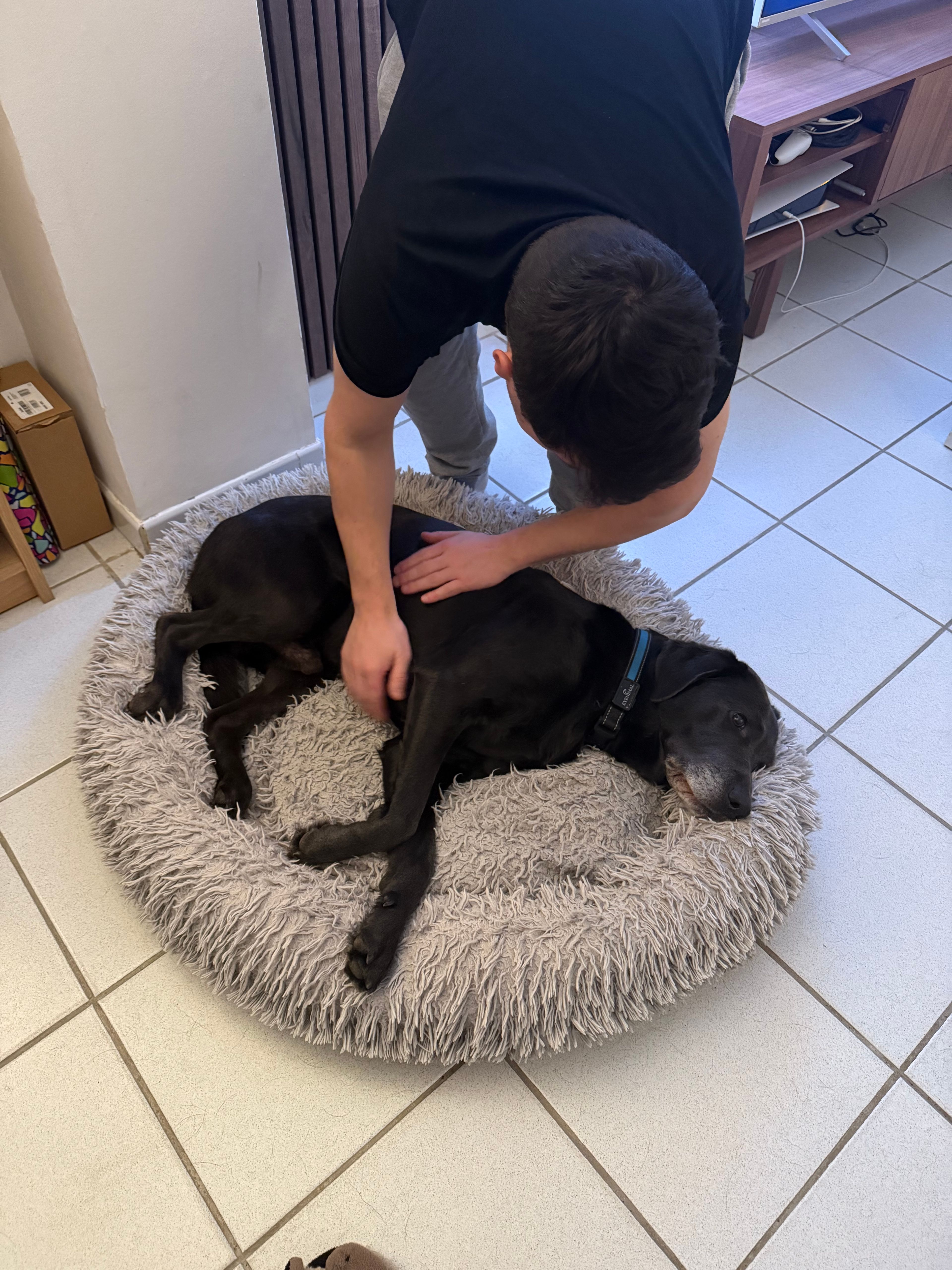 image-17