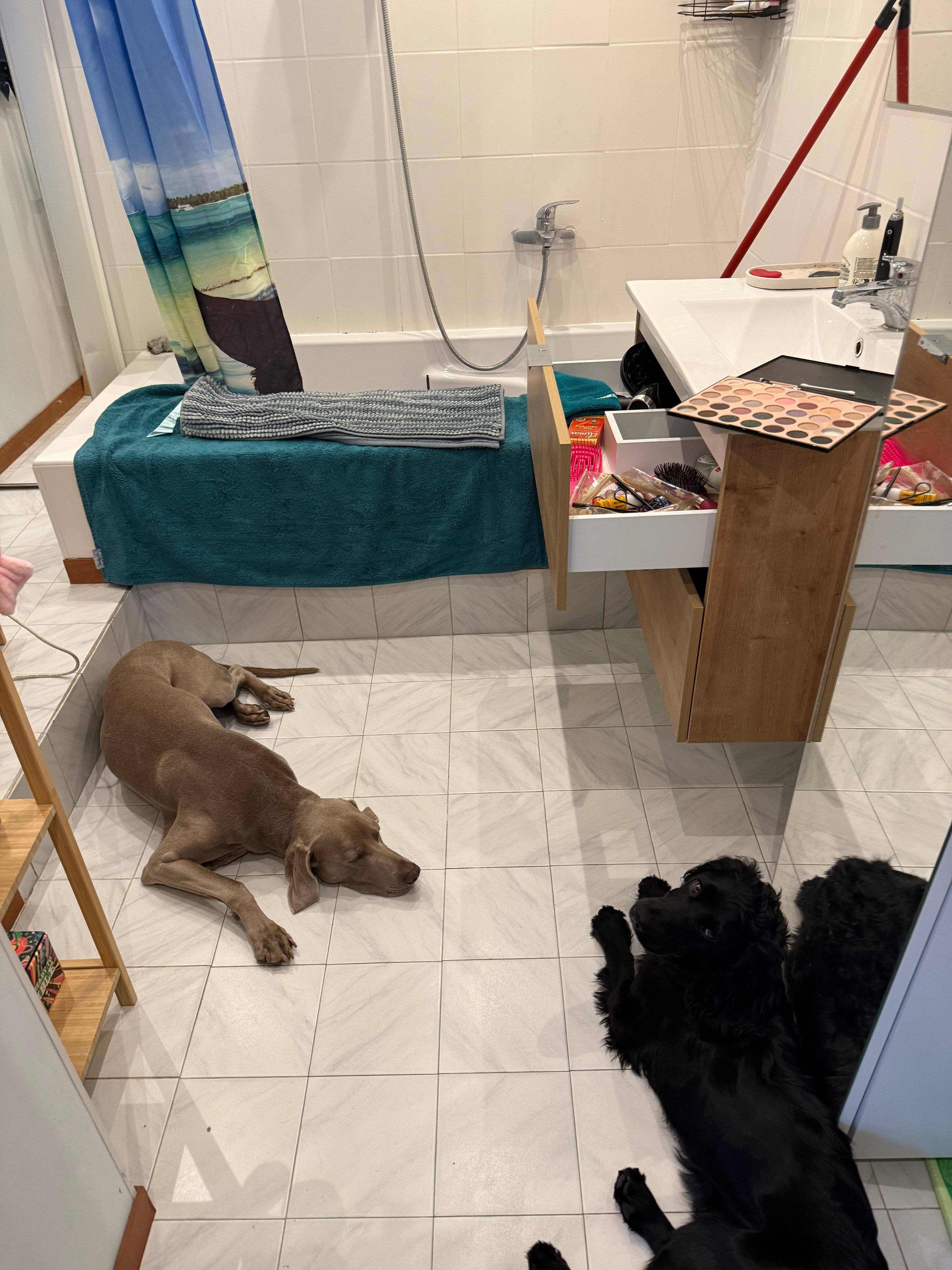 image-12