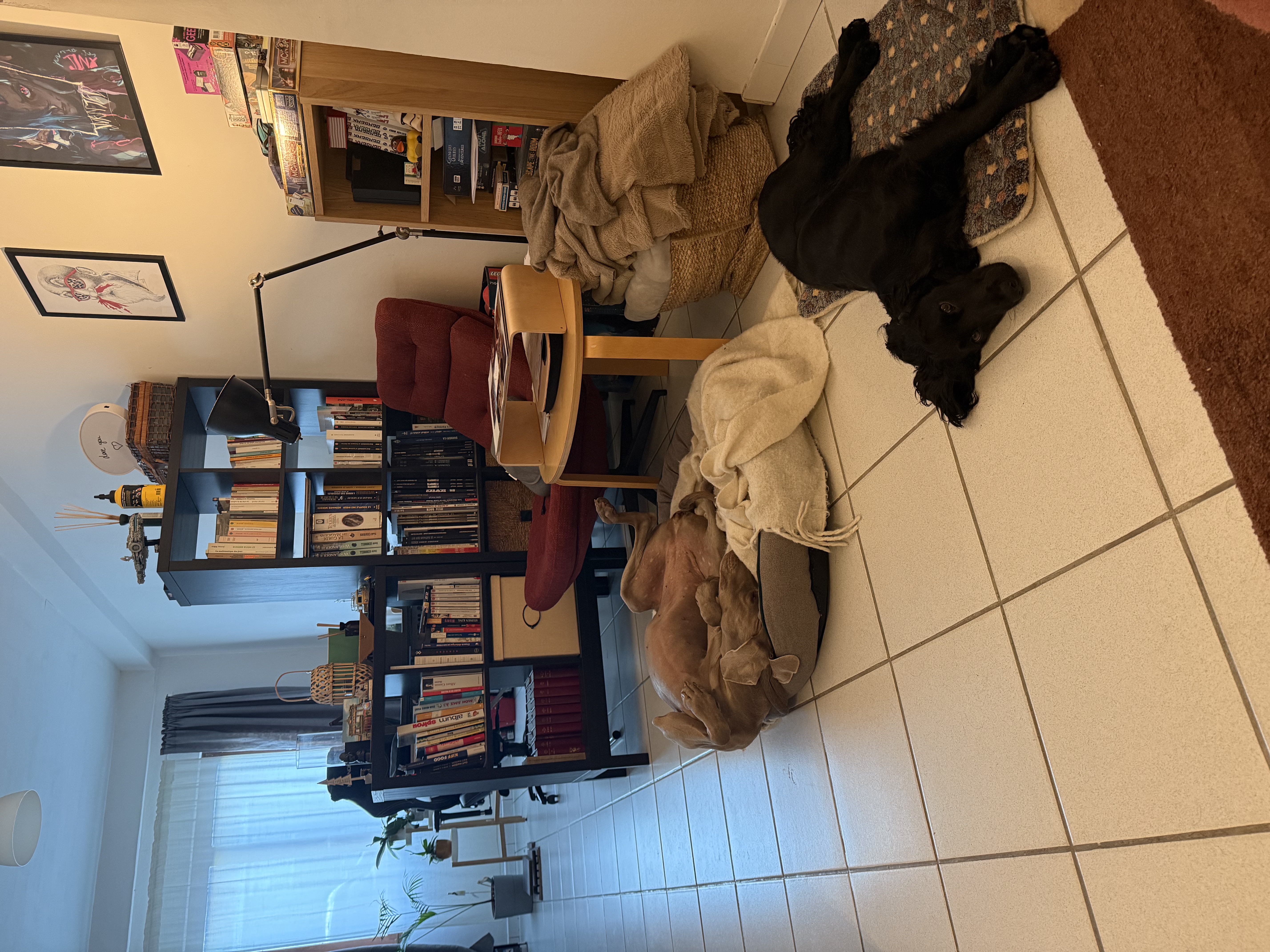 image-38