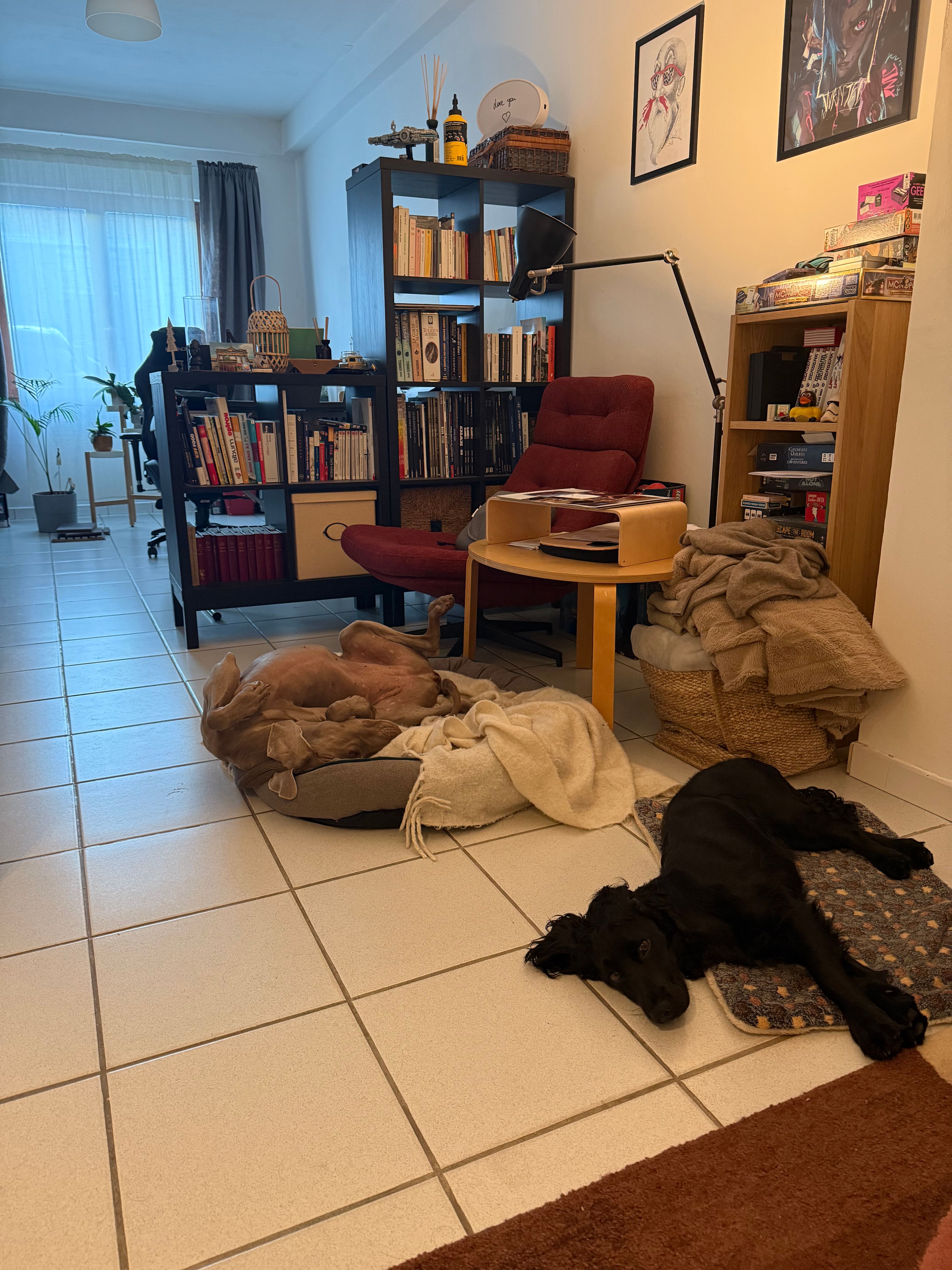 image-38