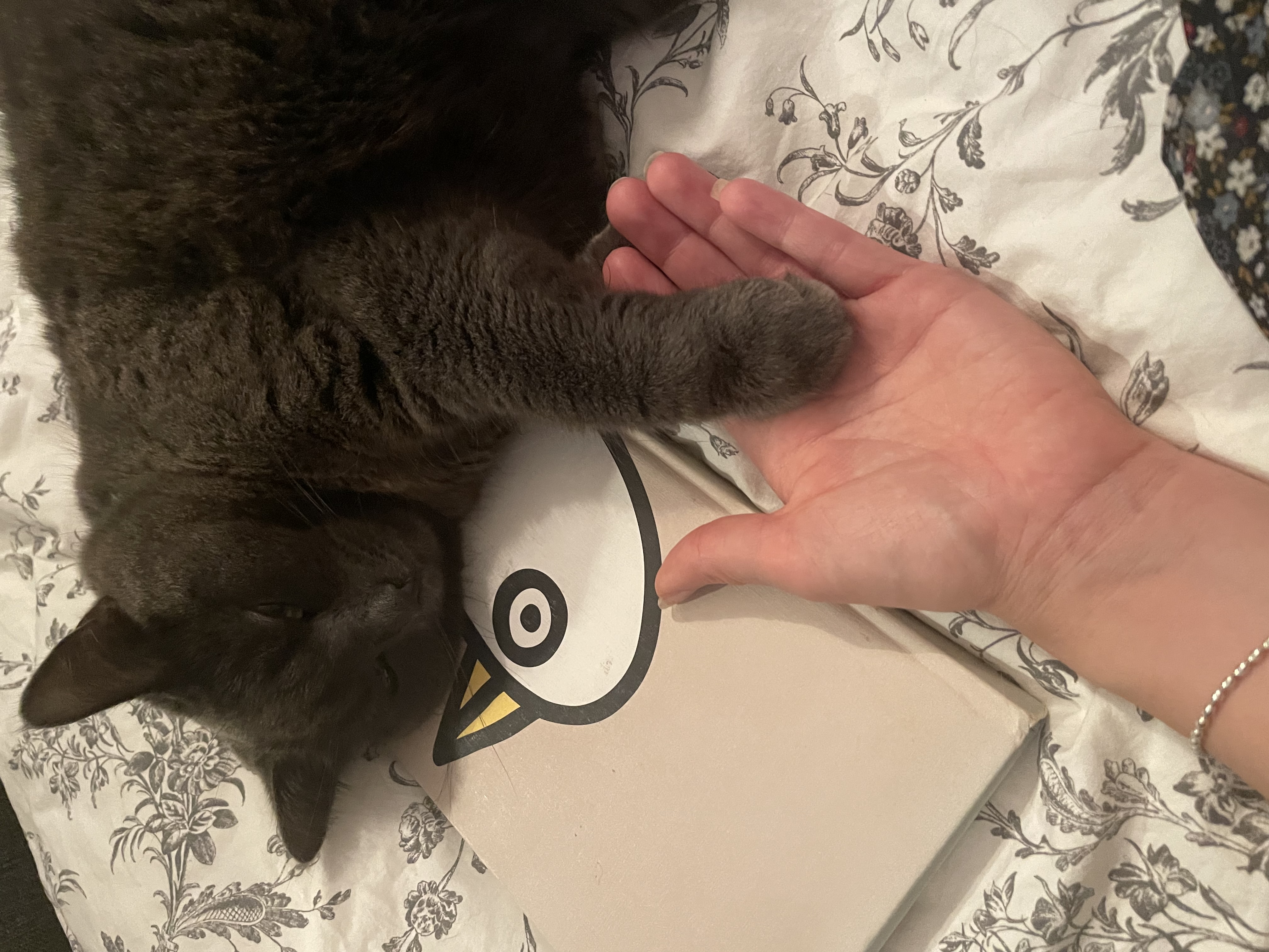 image-7