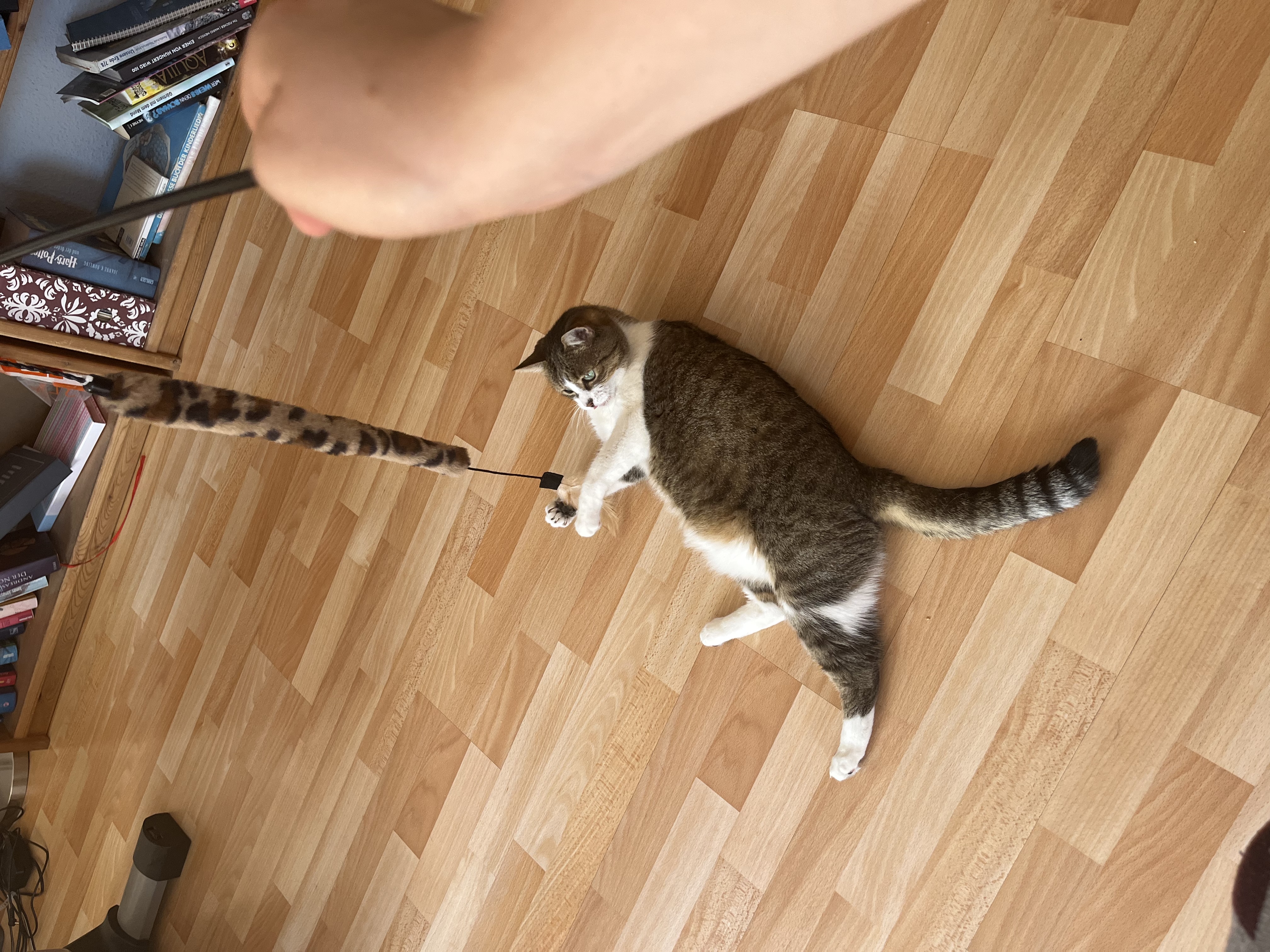 image-11