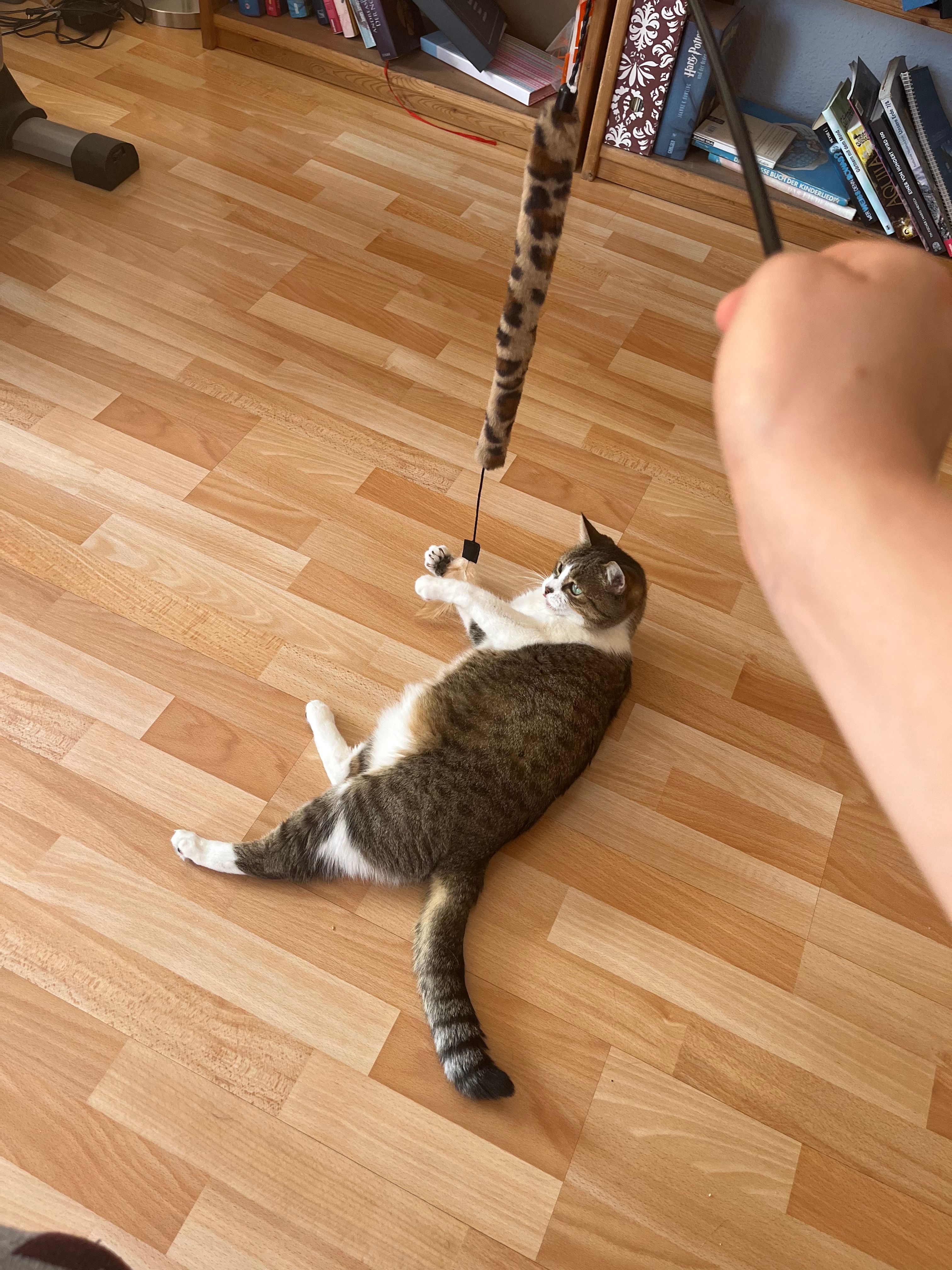 image-11