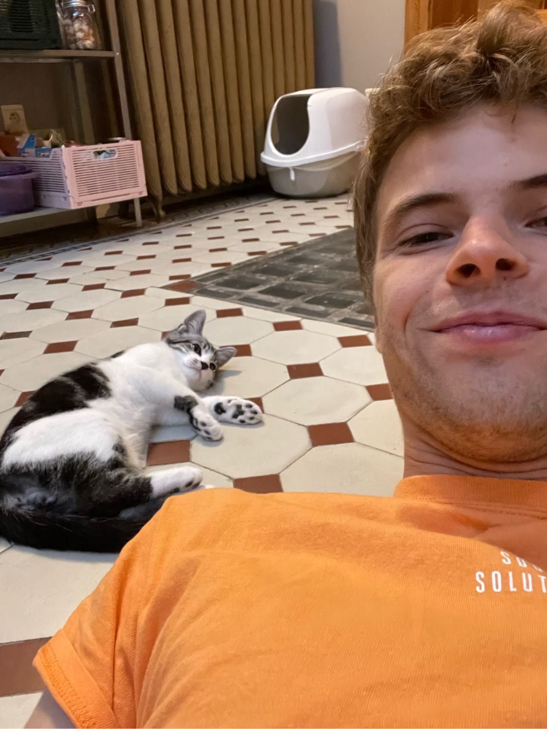 image-6