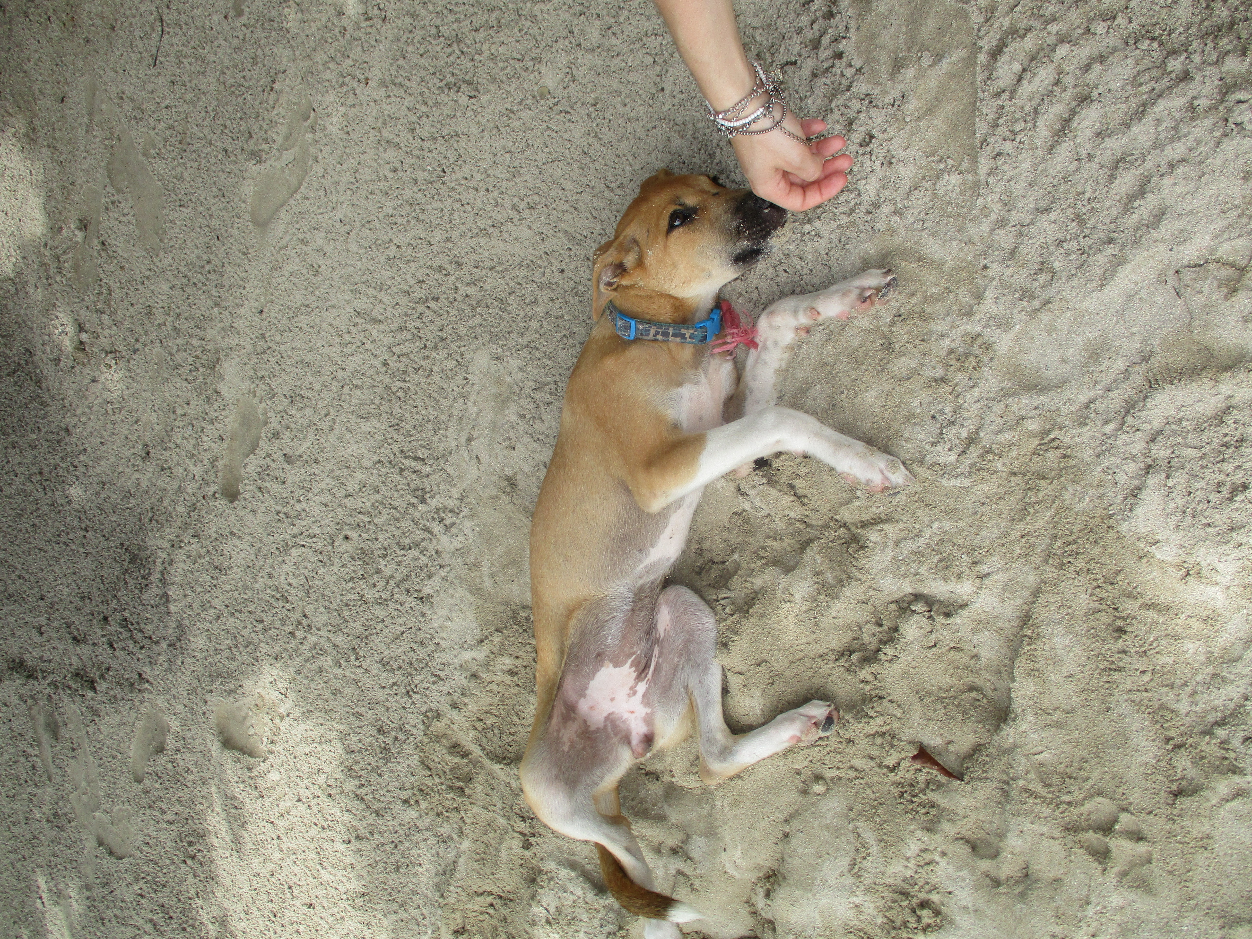 image-5