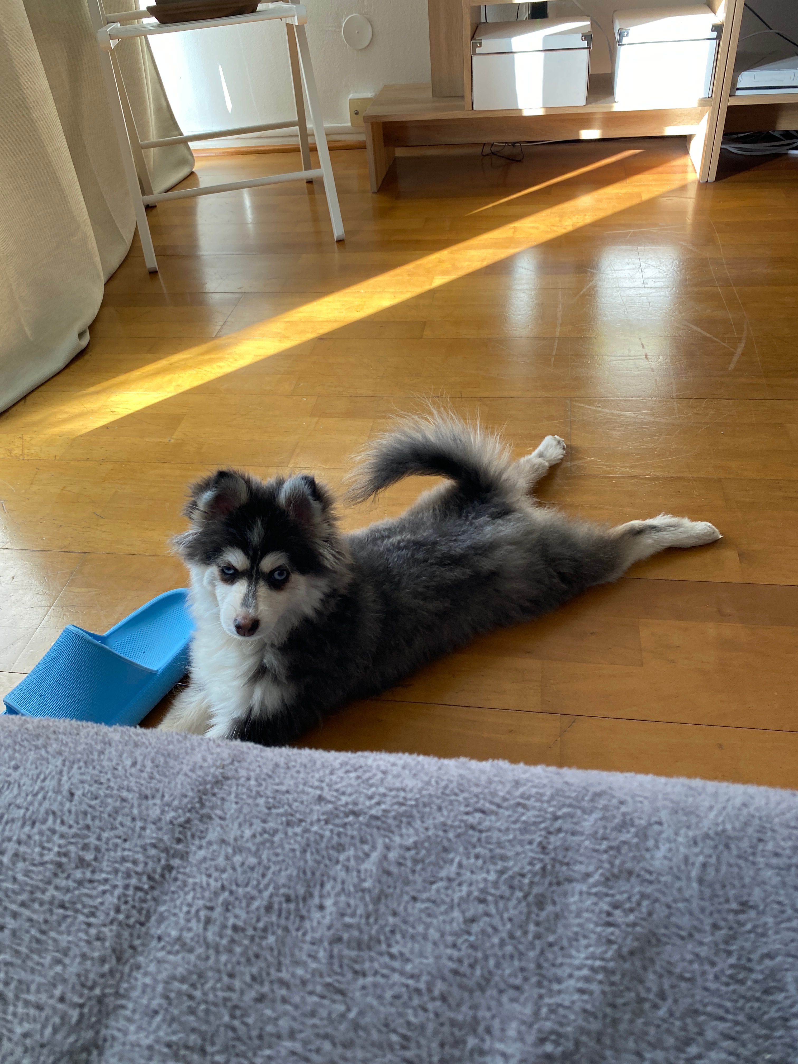 image-9