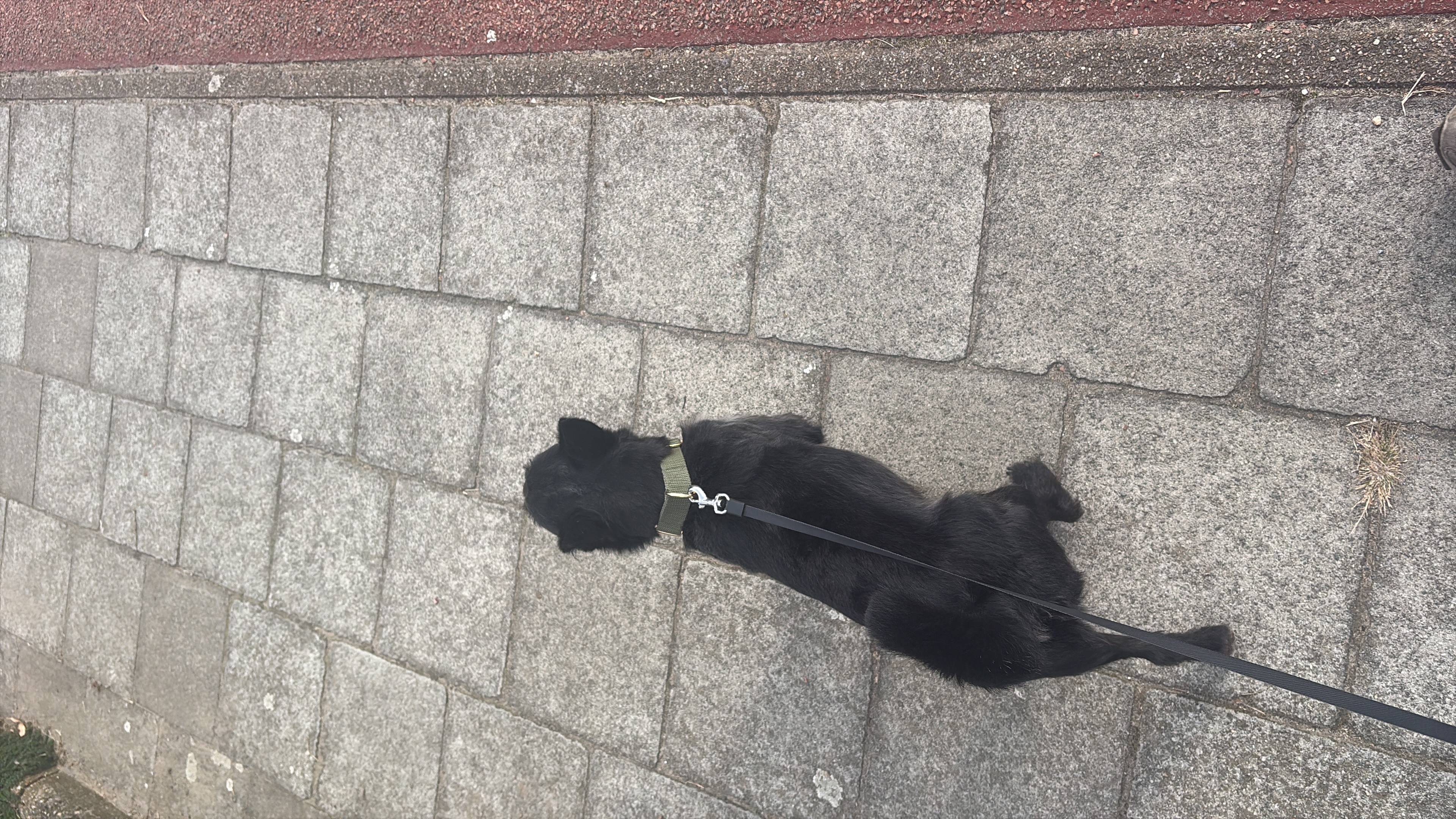 image-7