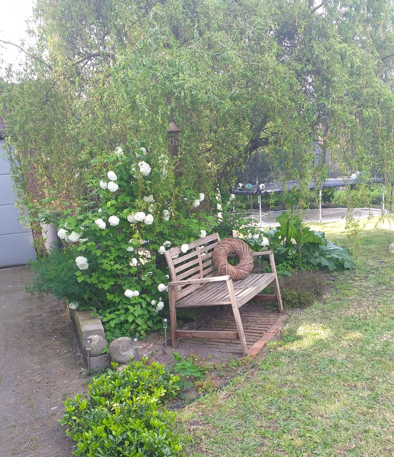 image-13