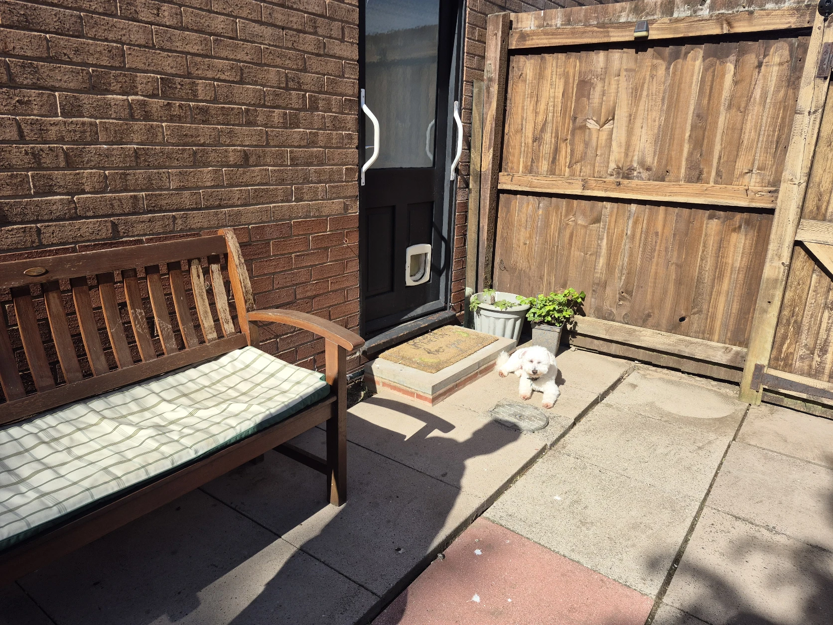 image-11