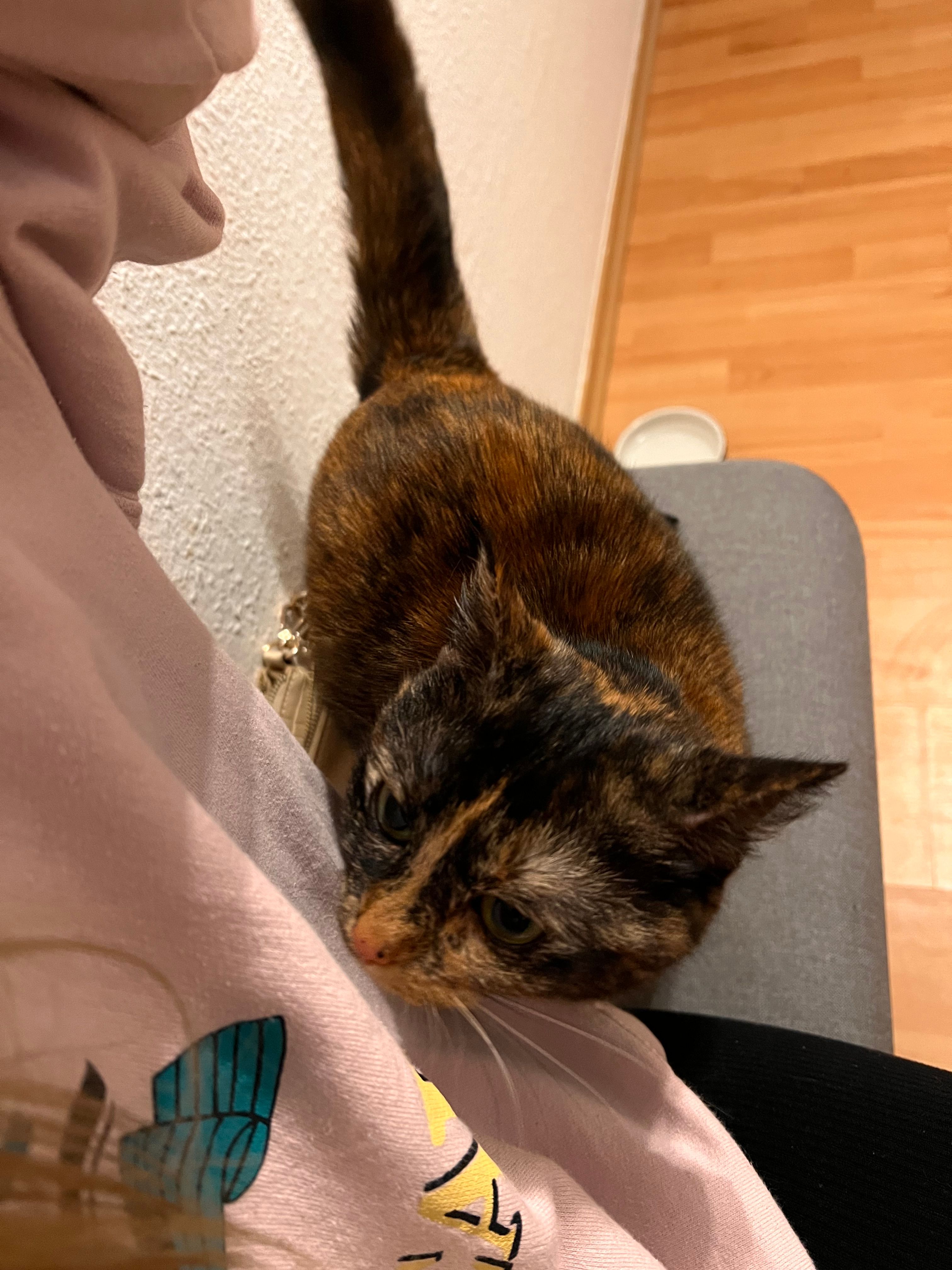 image-8