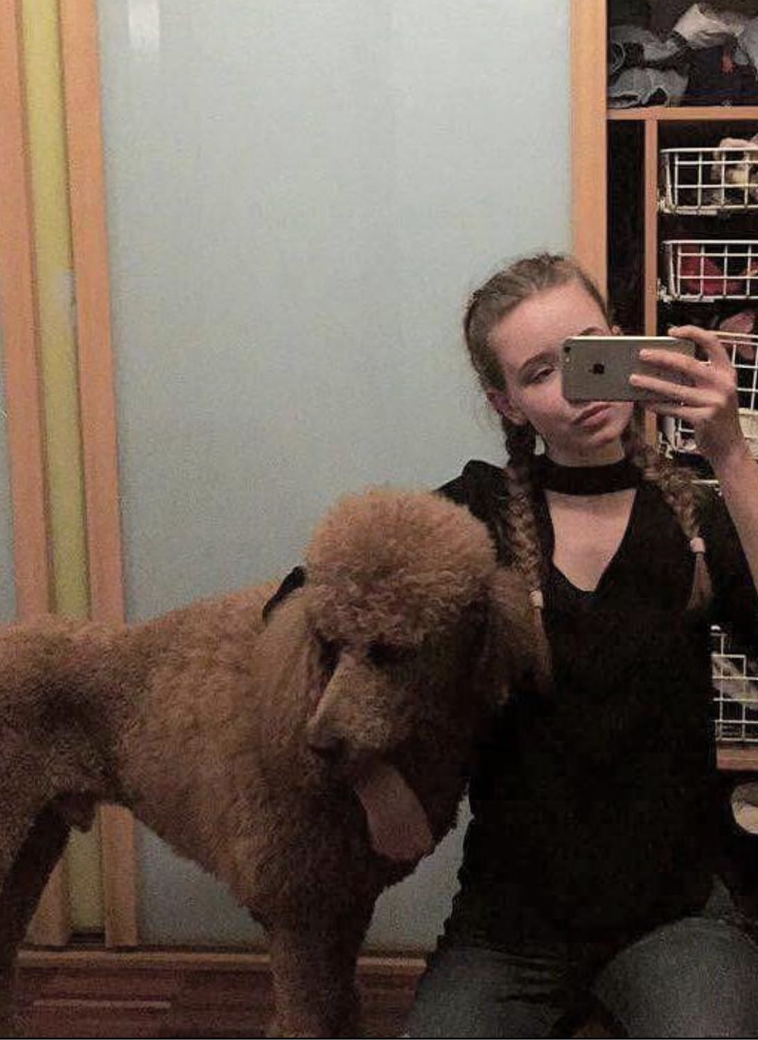 image-8