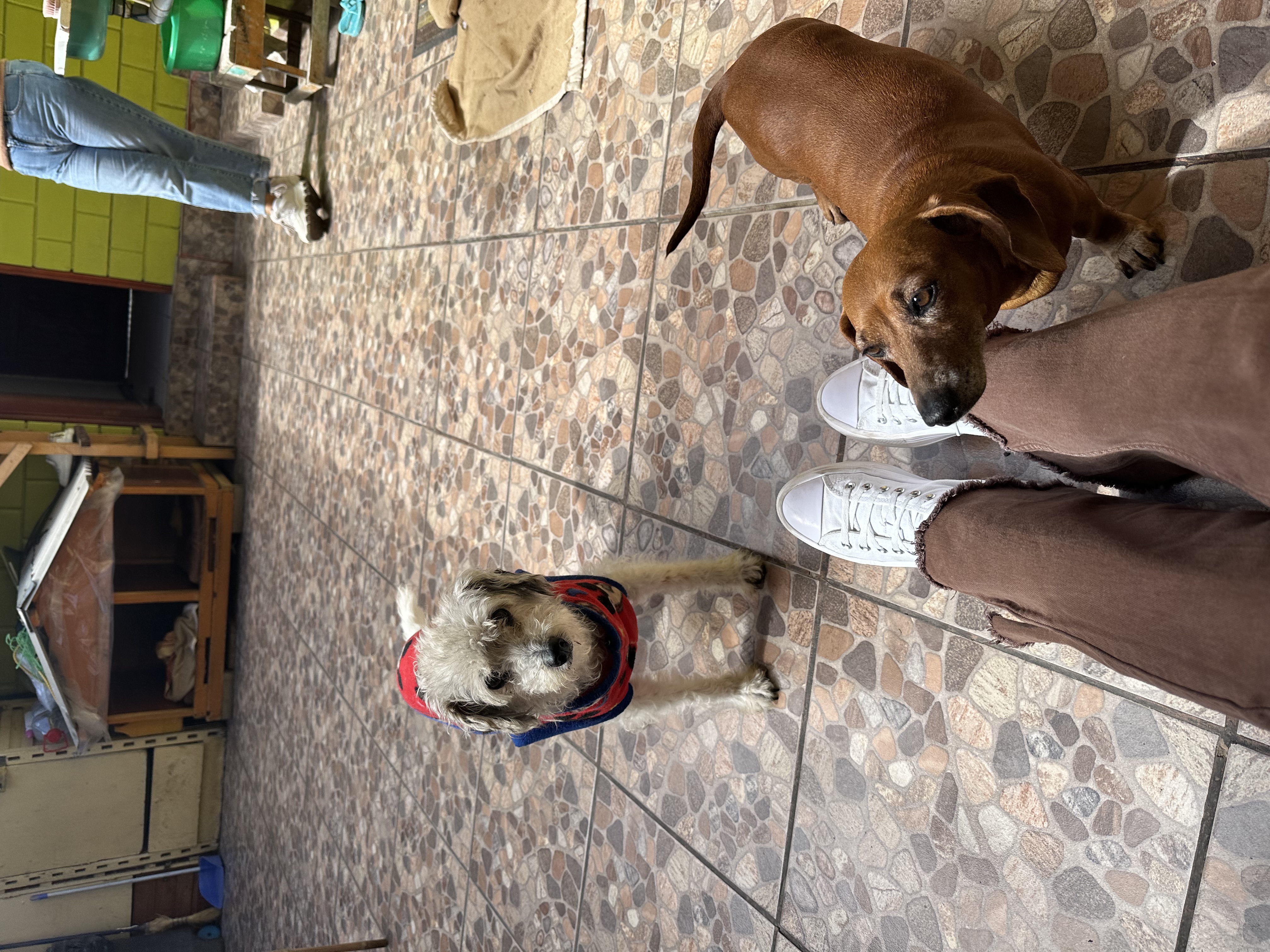 image-5