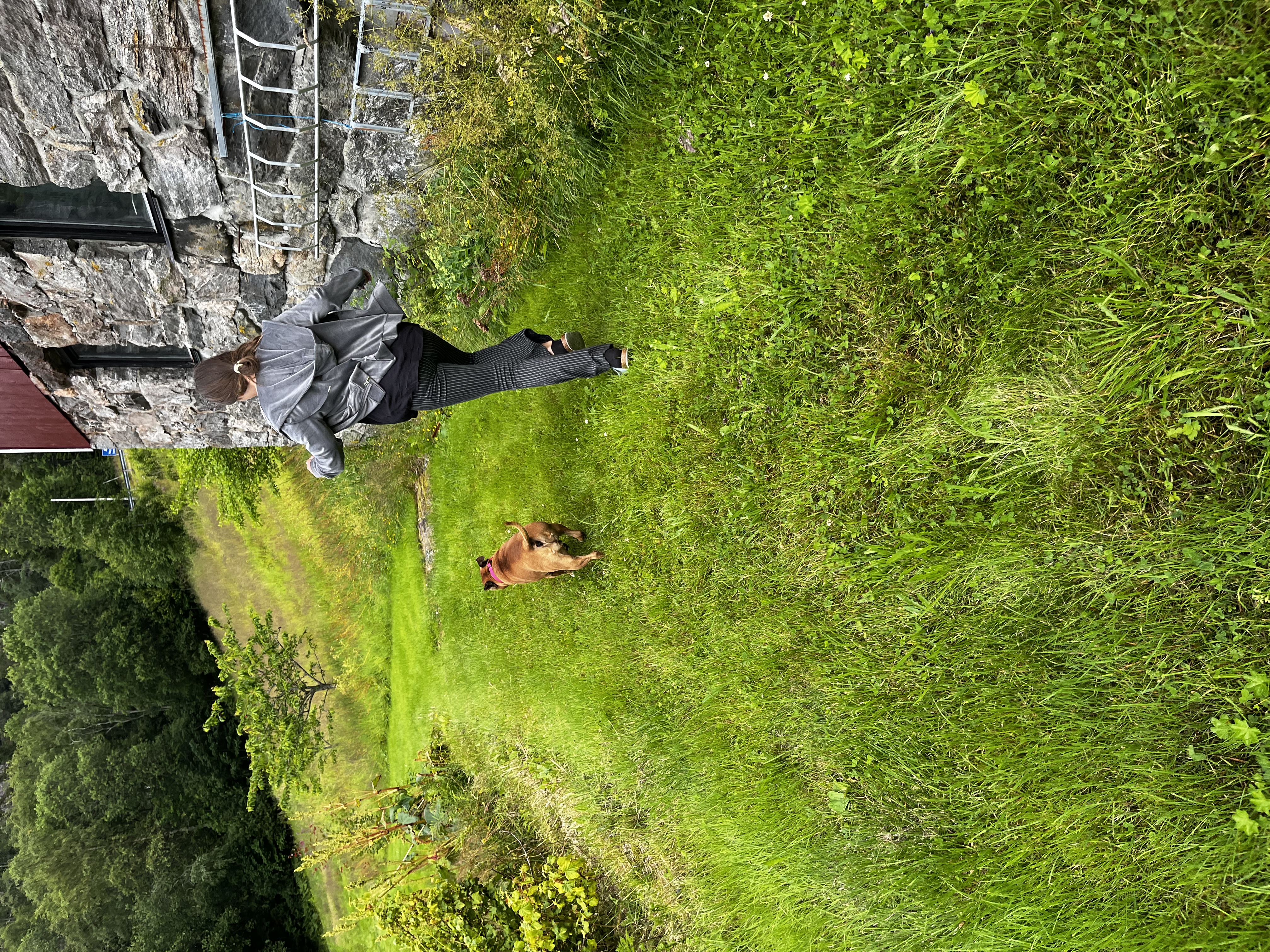 image-0
