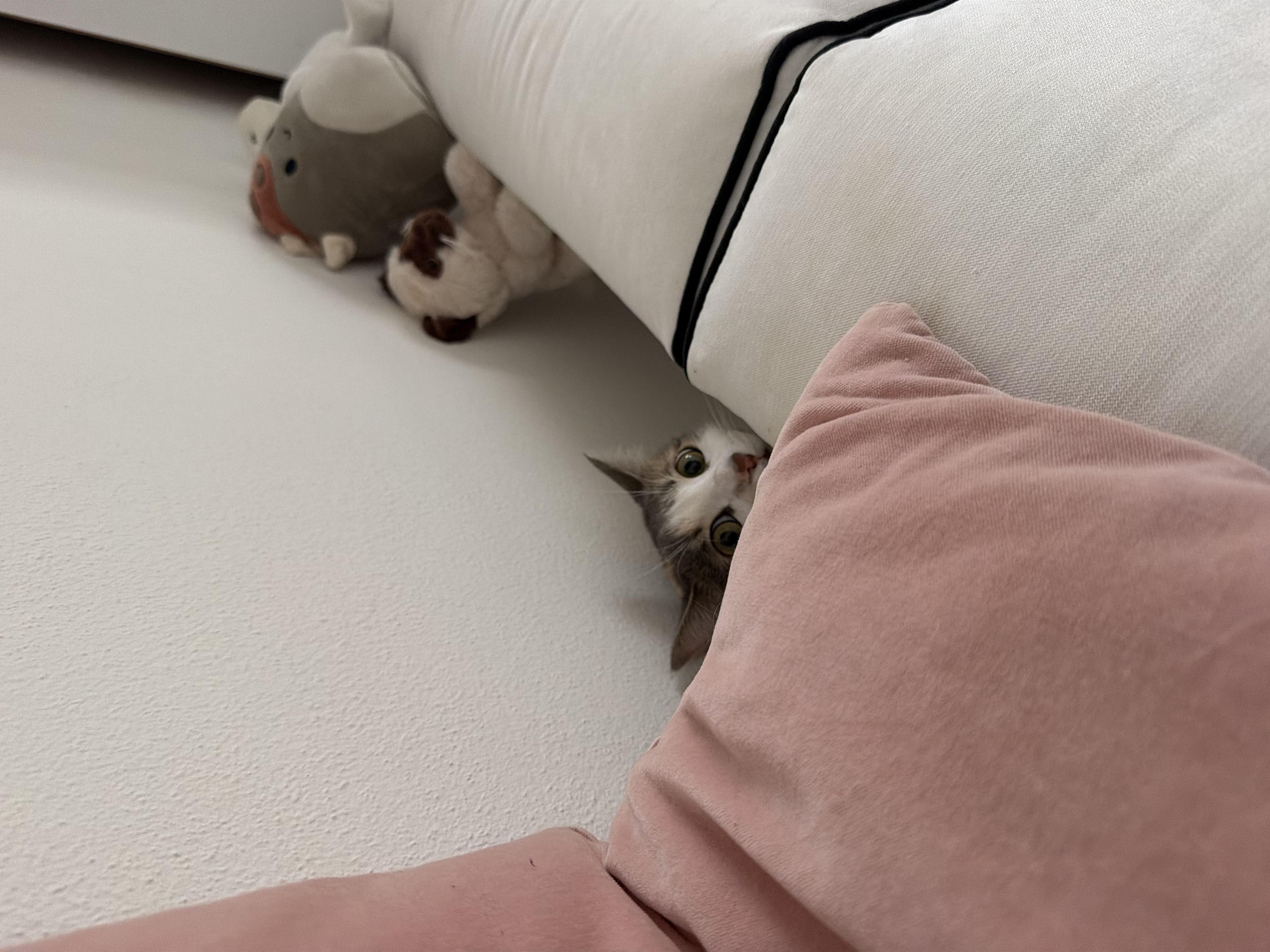 image-9