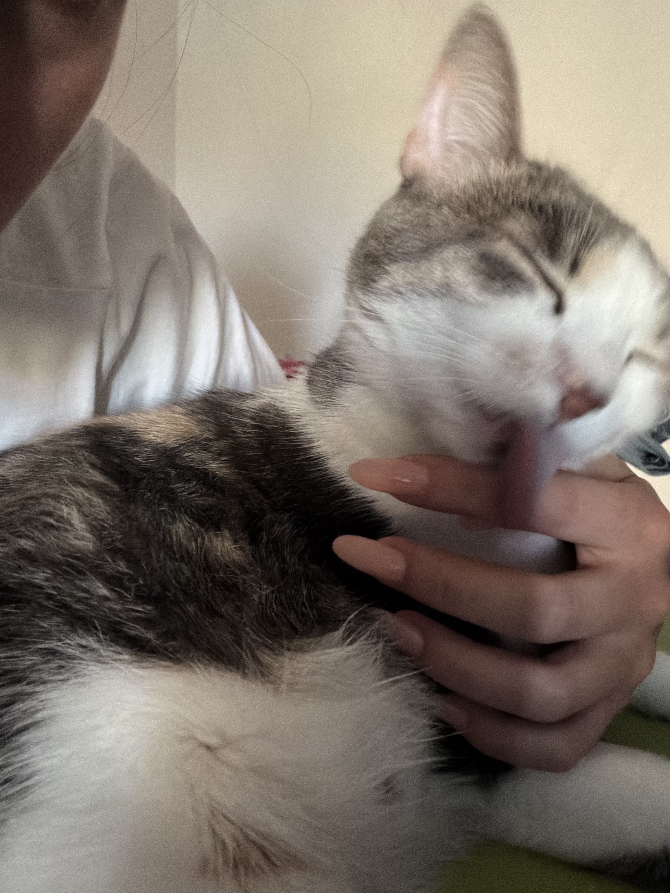 image-8