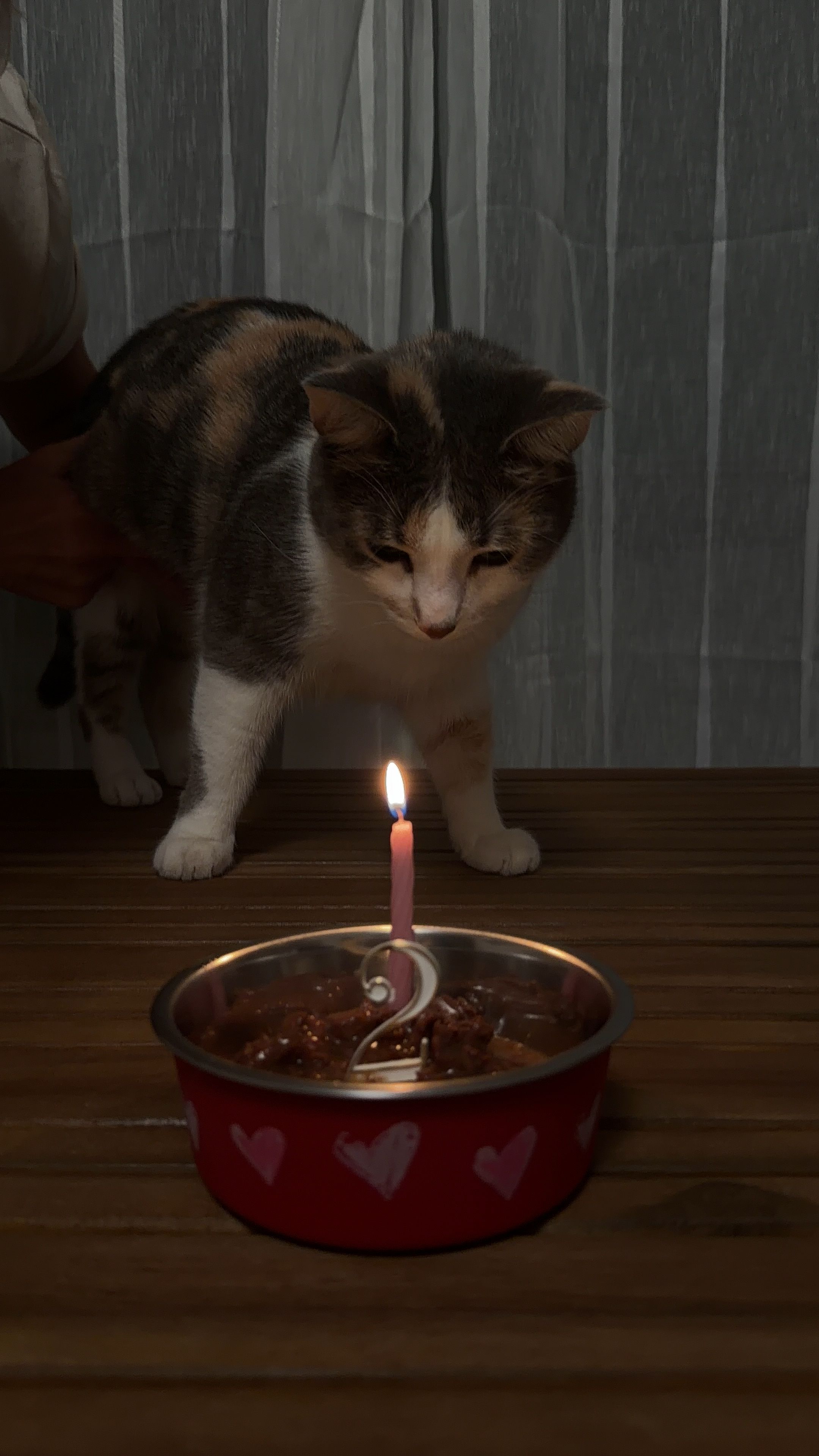 image-7