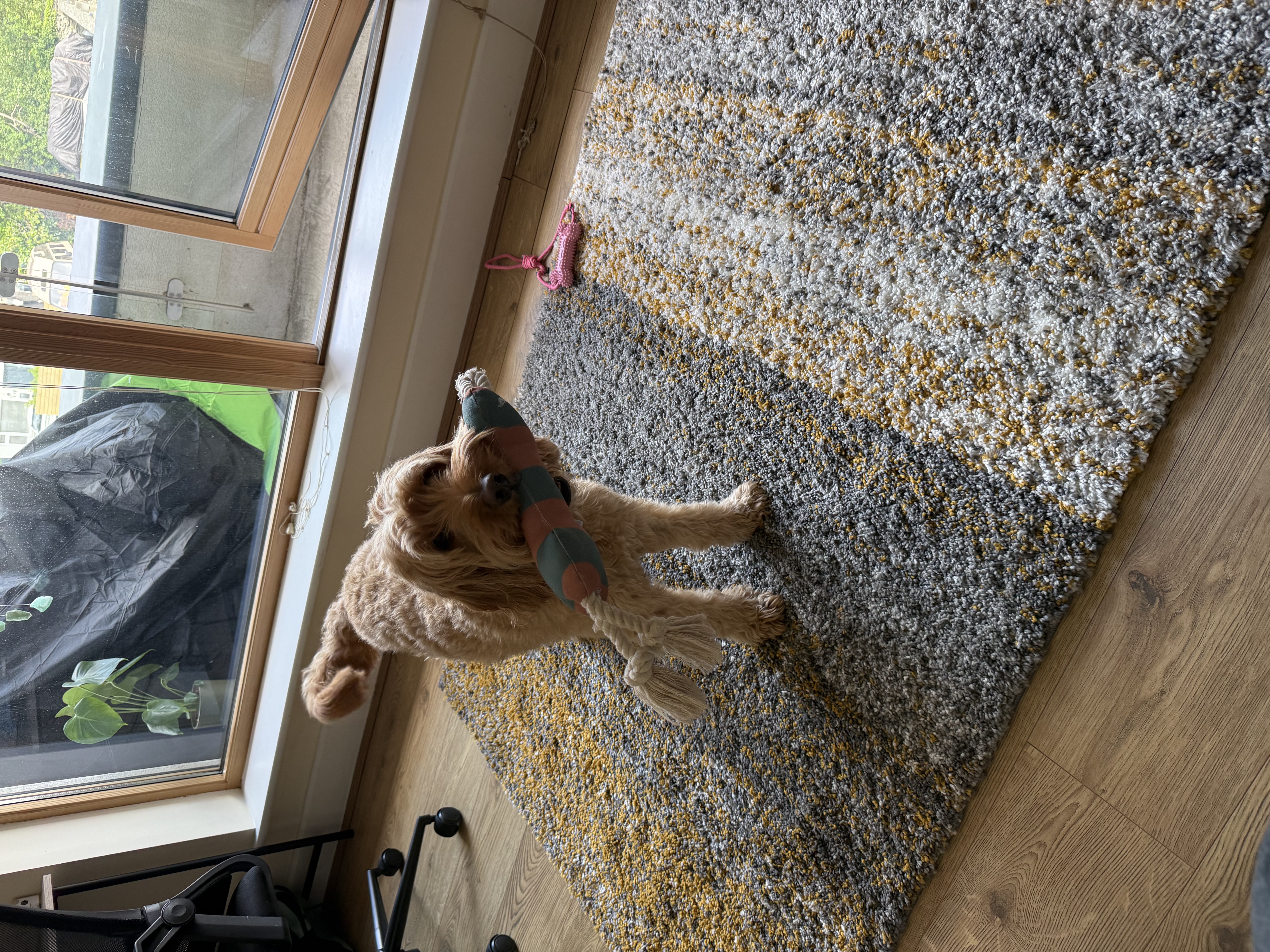 image-10