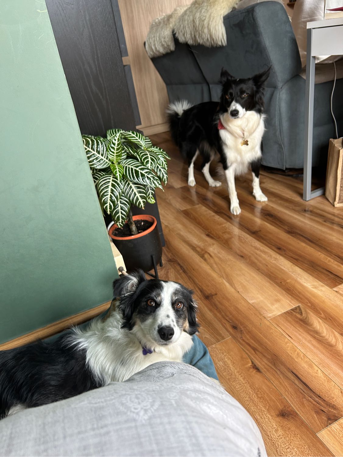 image-9