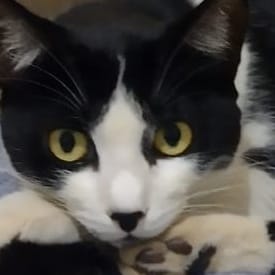 Nina
