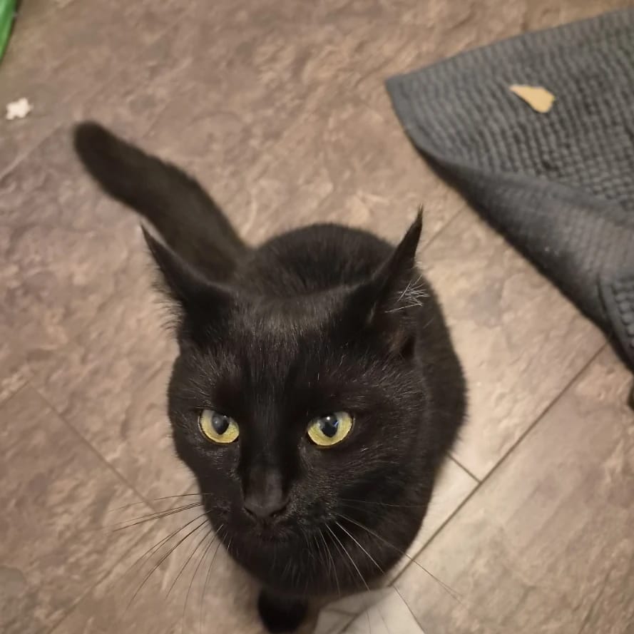 Hera