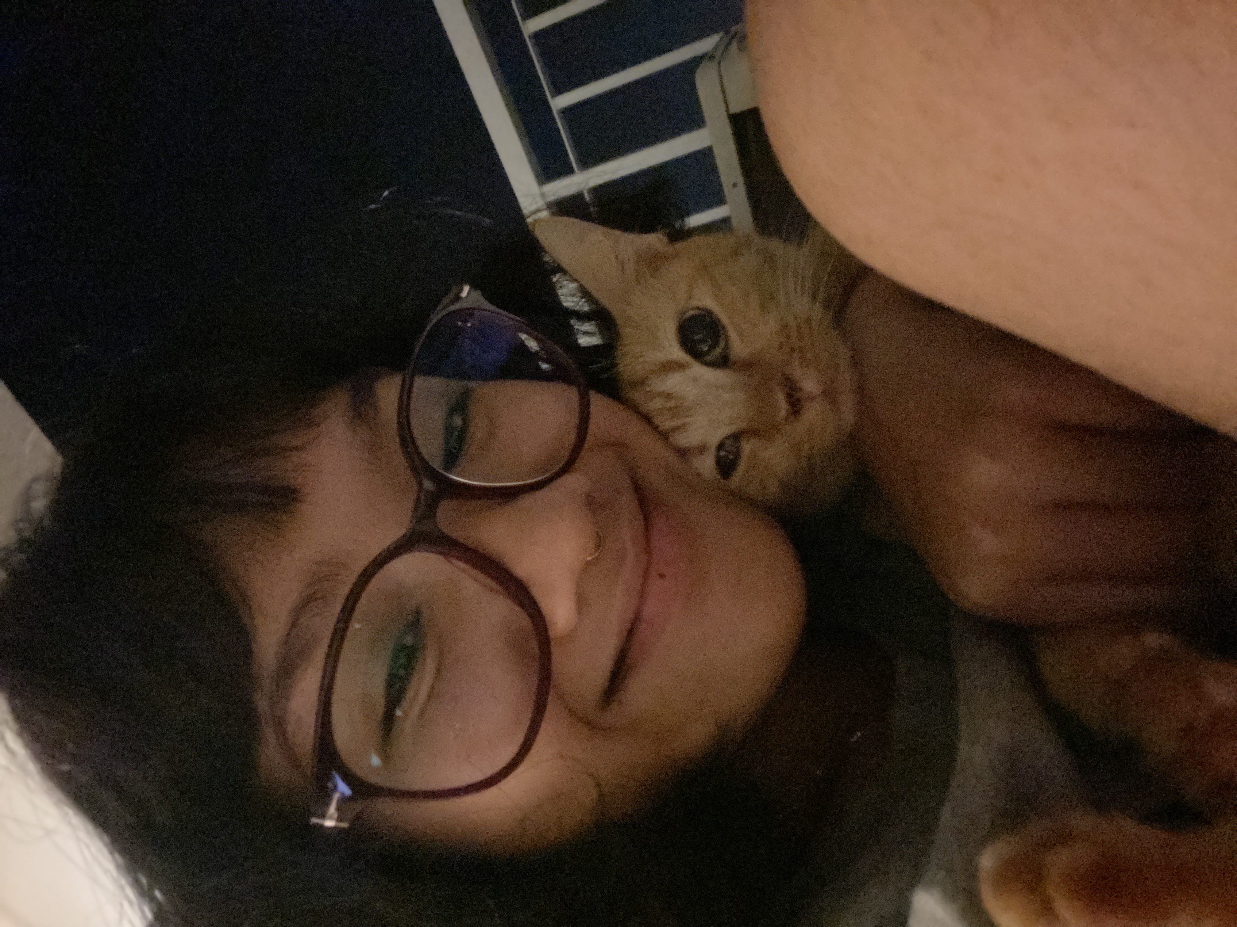 image-8