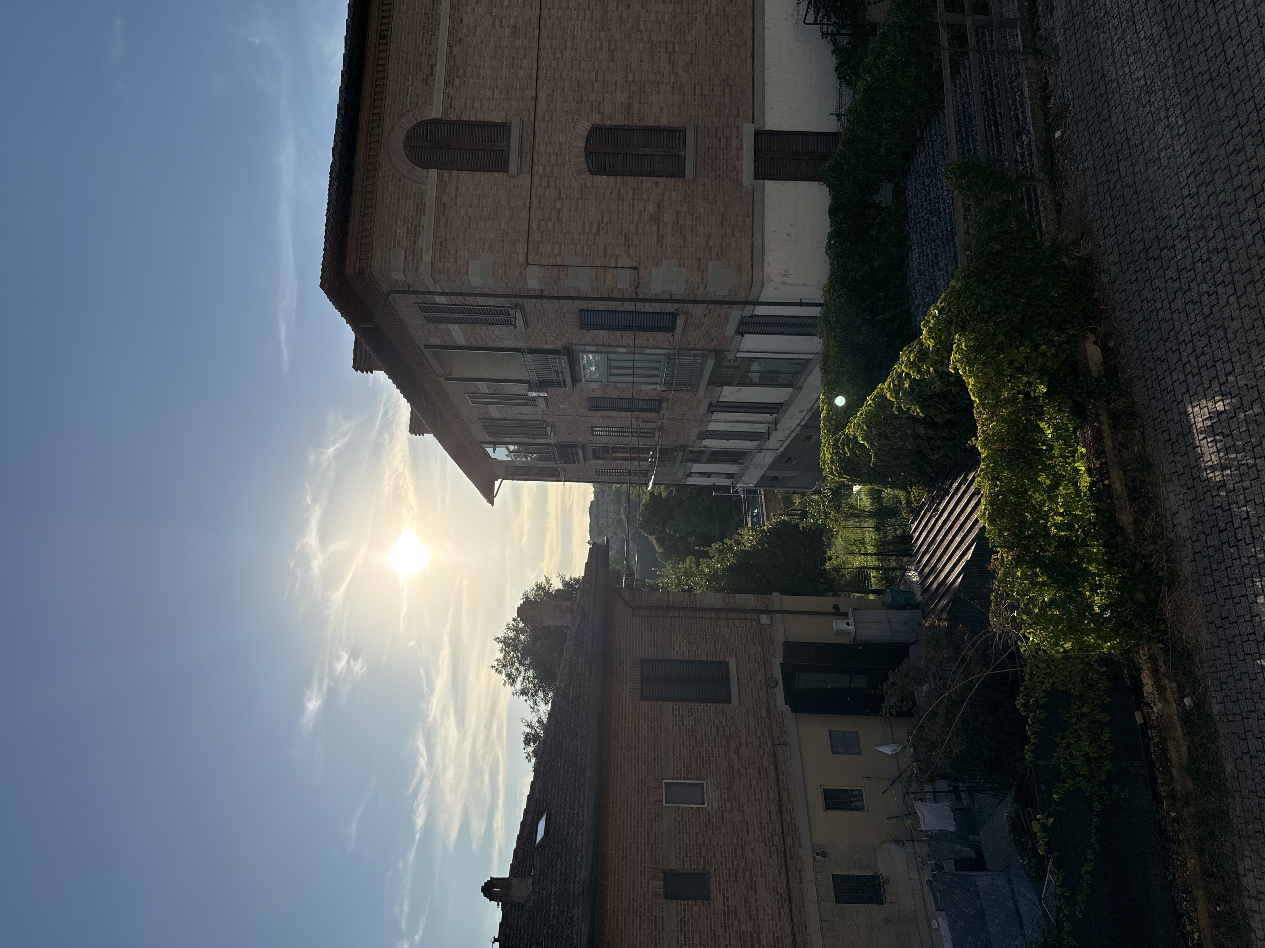 image-21