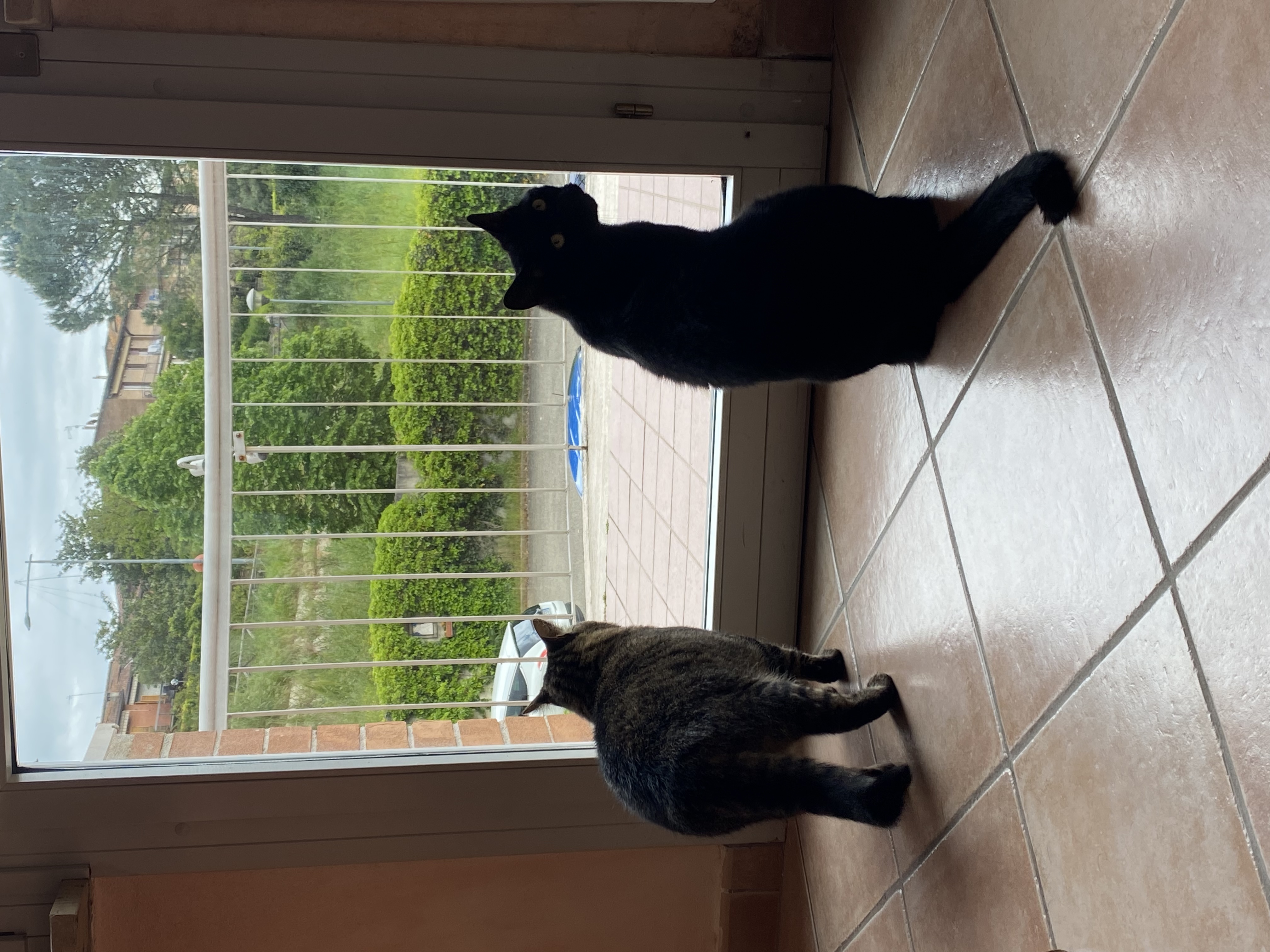 image-10