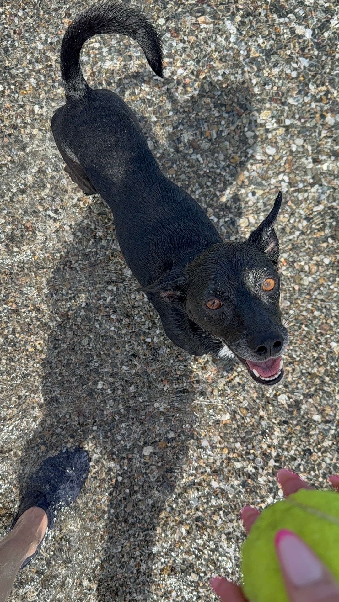 image-6