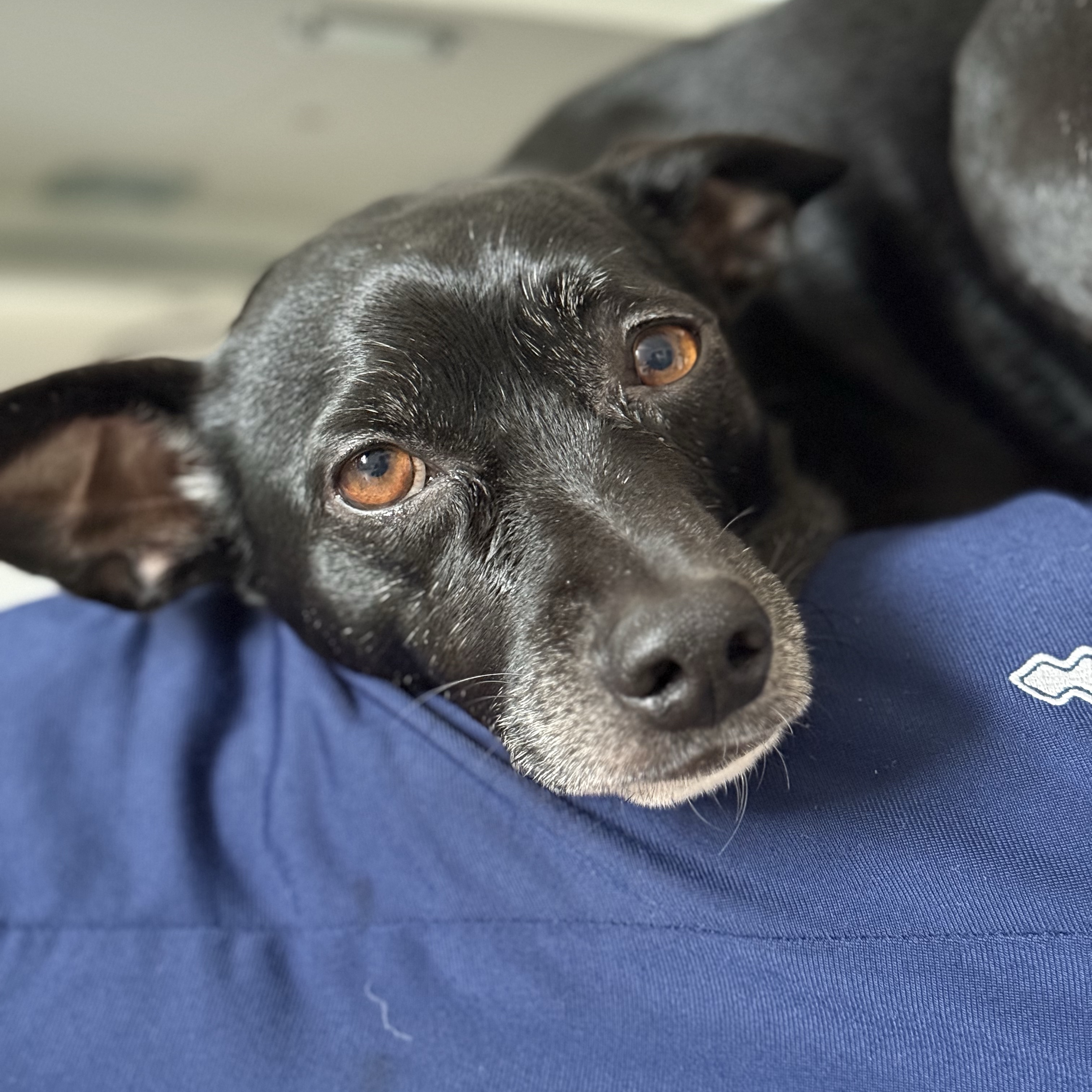 Max