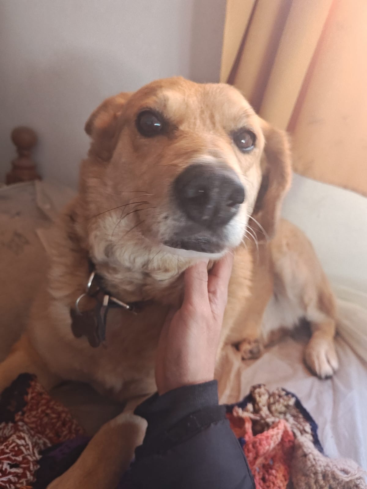 image-6