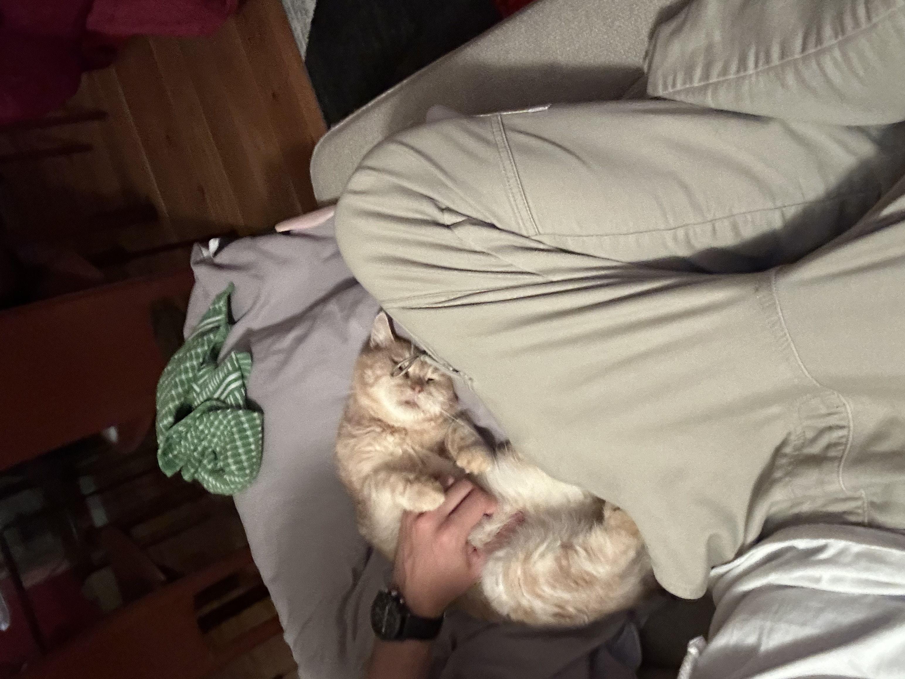 image-6