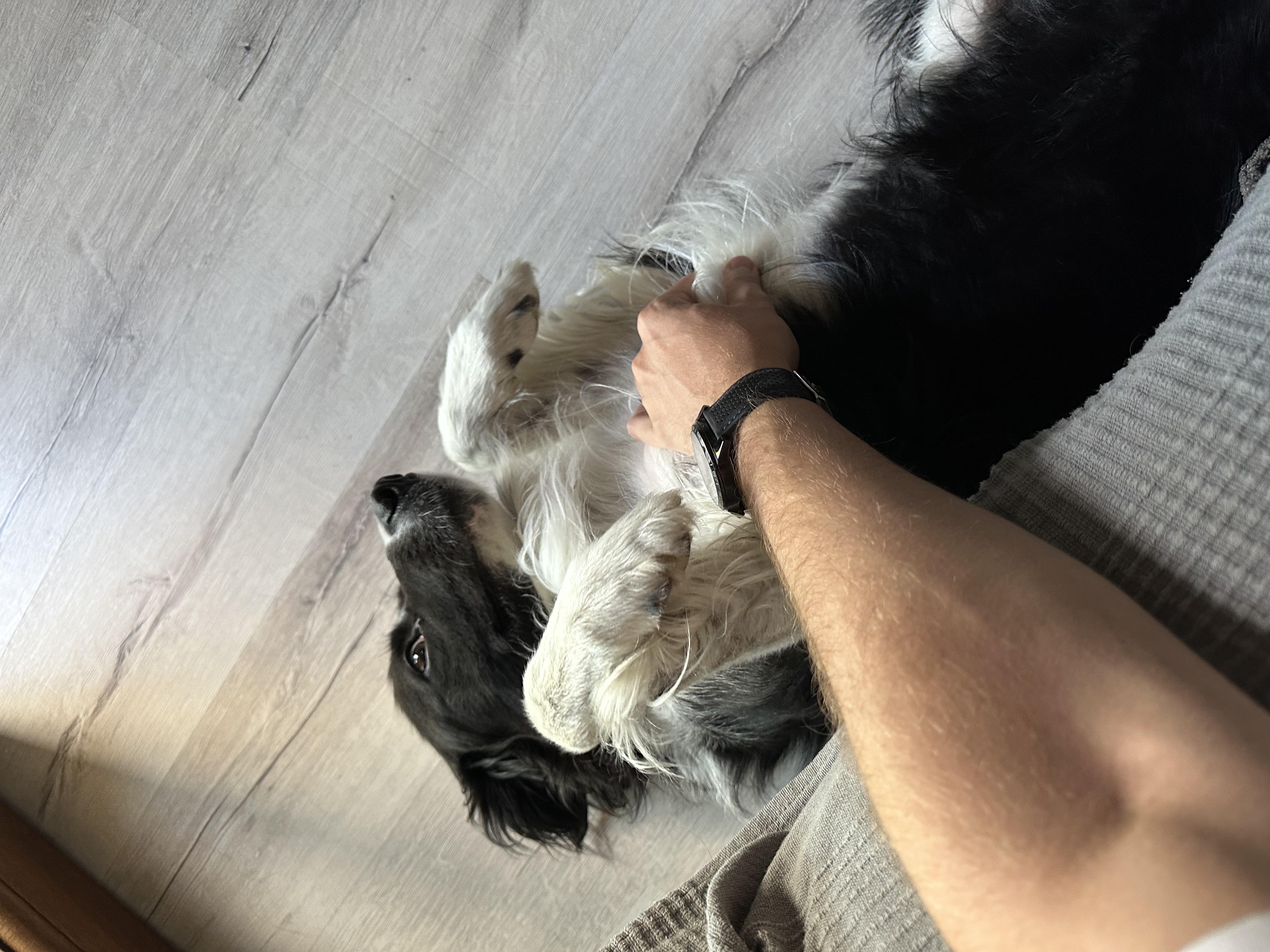 image-8