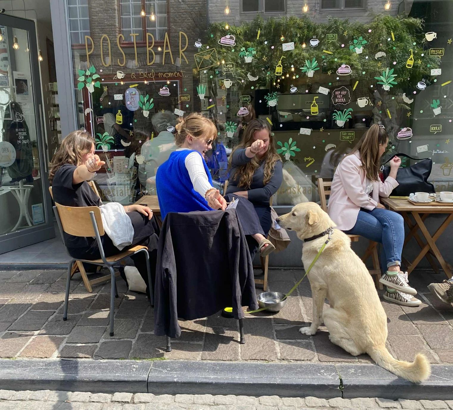 image-2