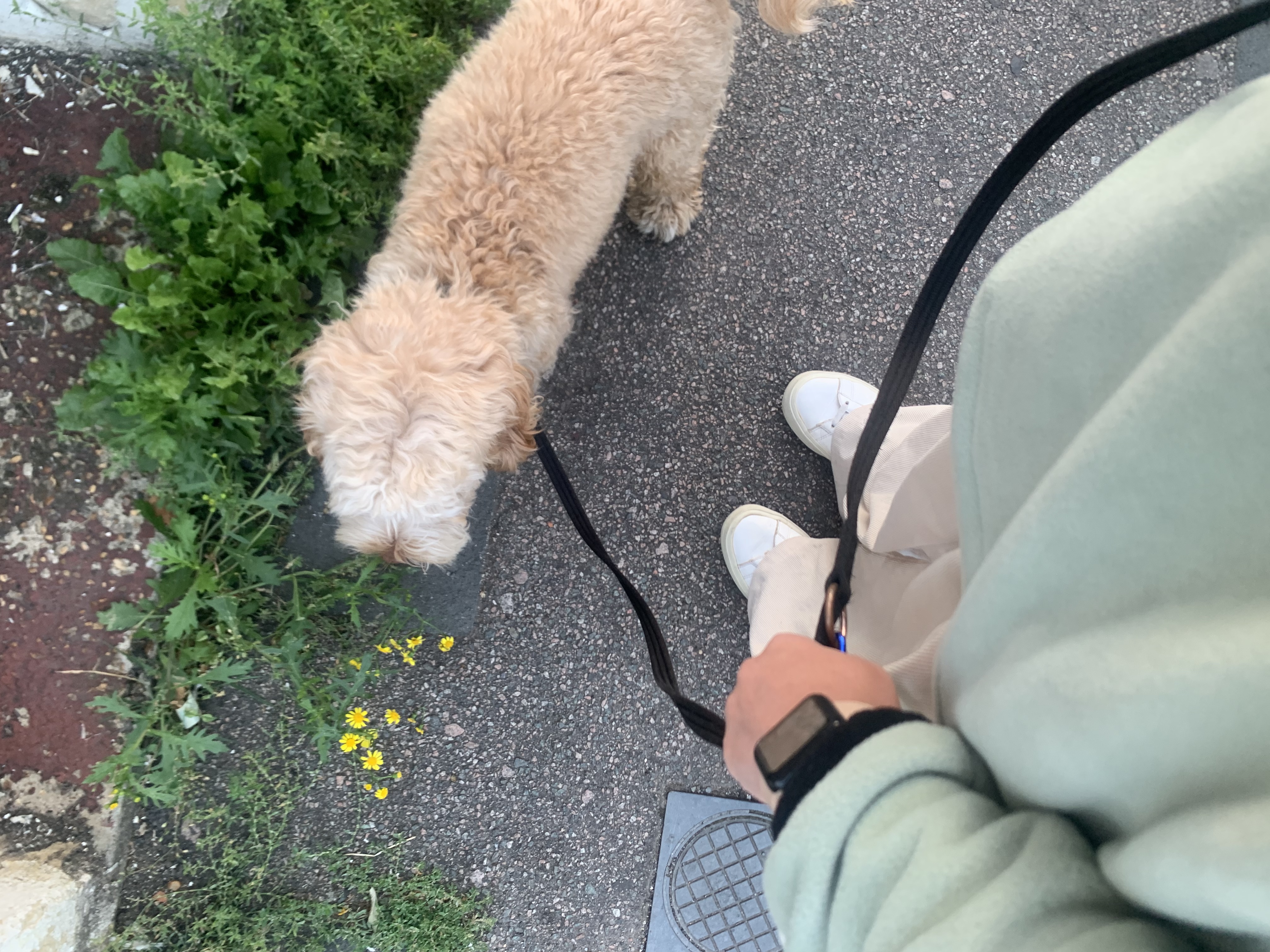 image-6