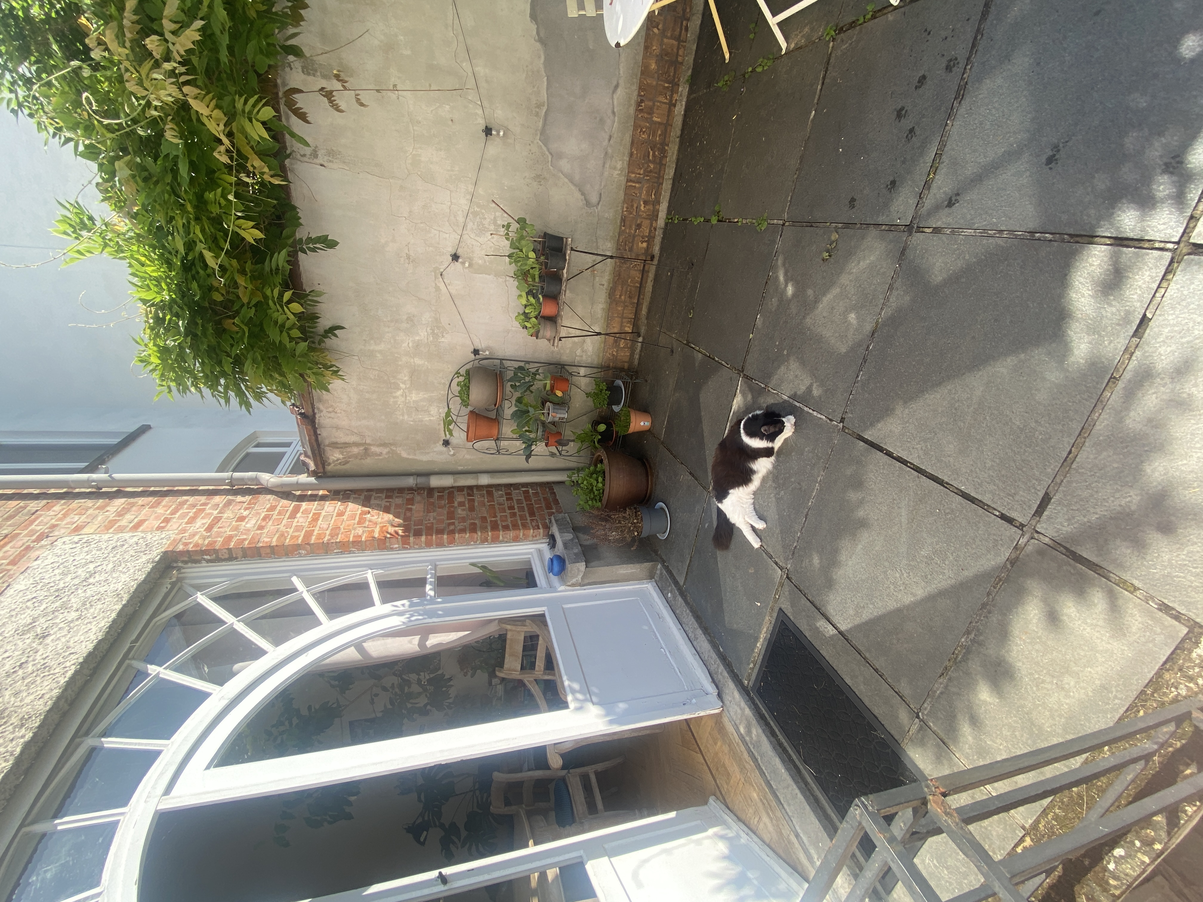 image-16