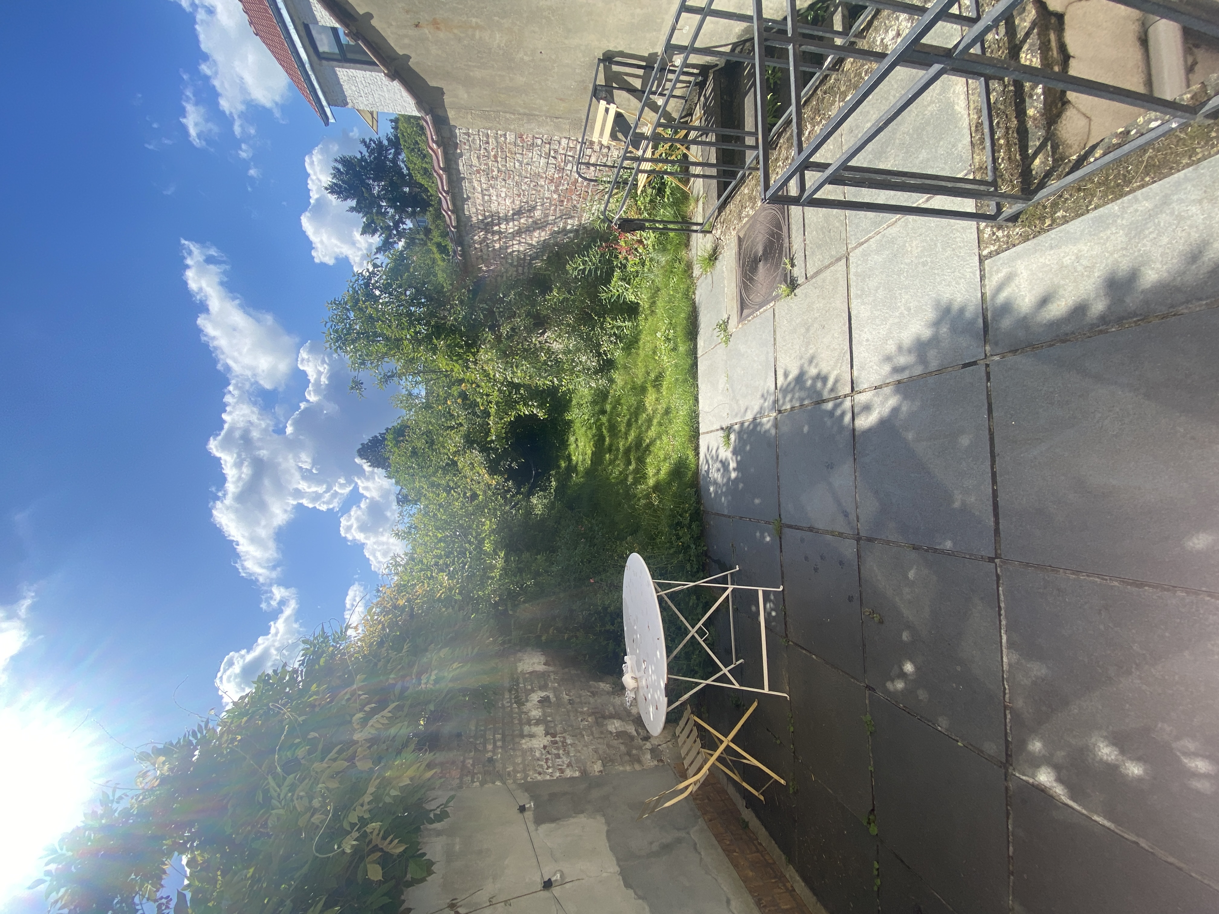 image-14