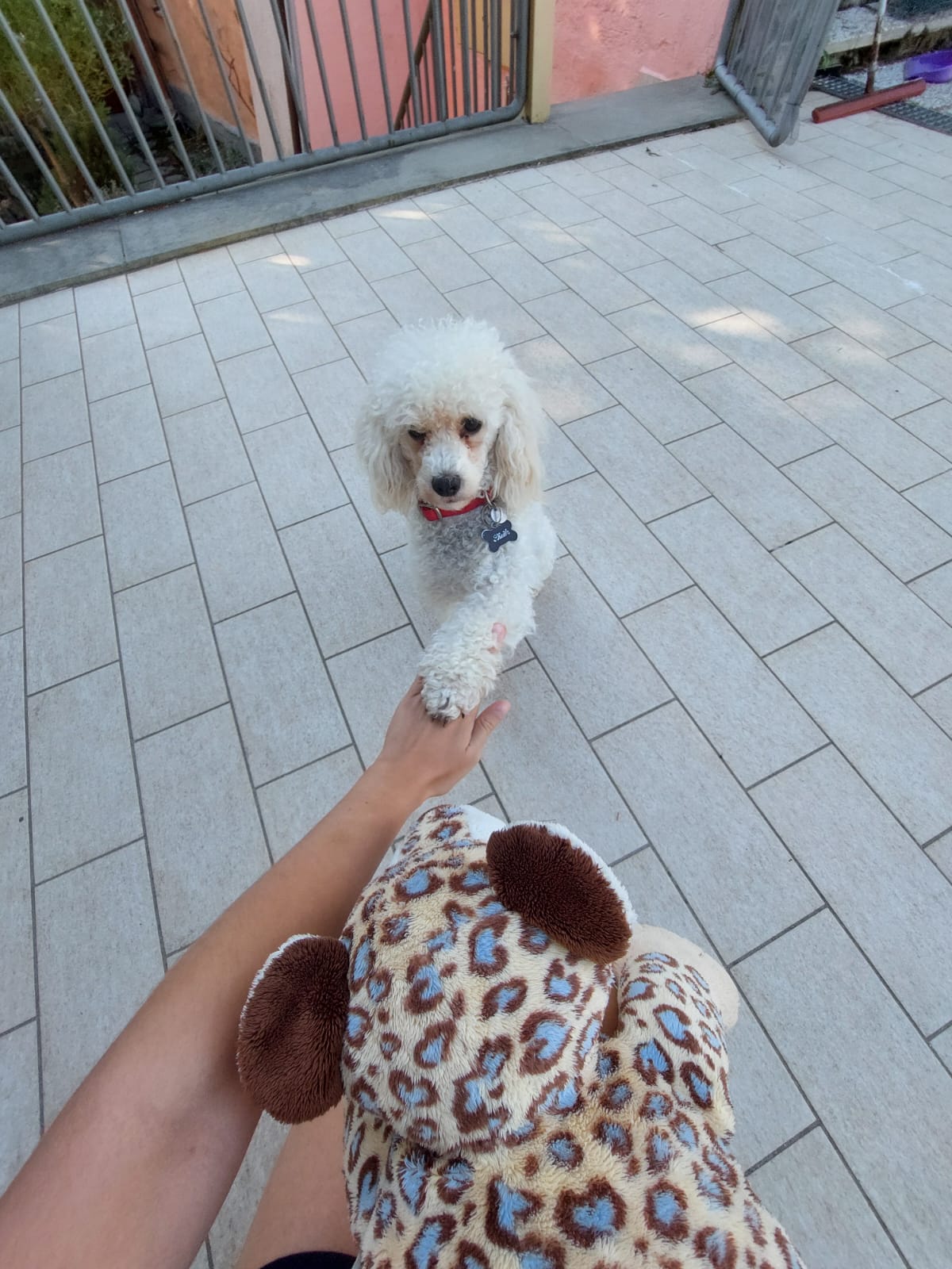 image-8