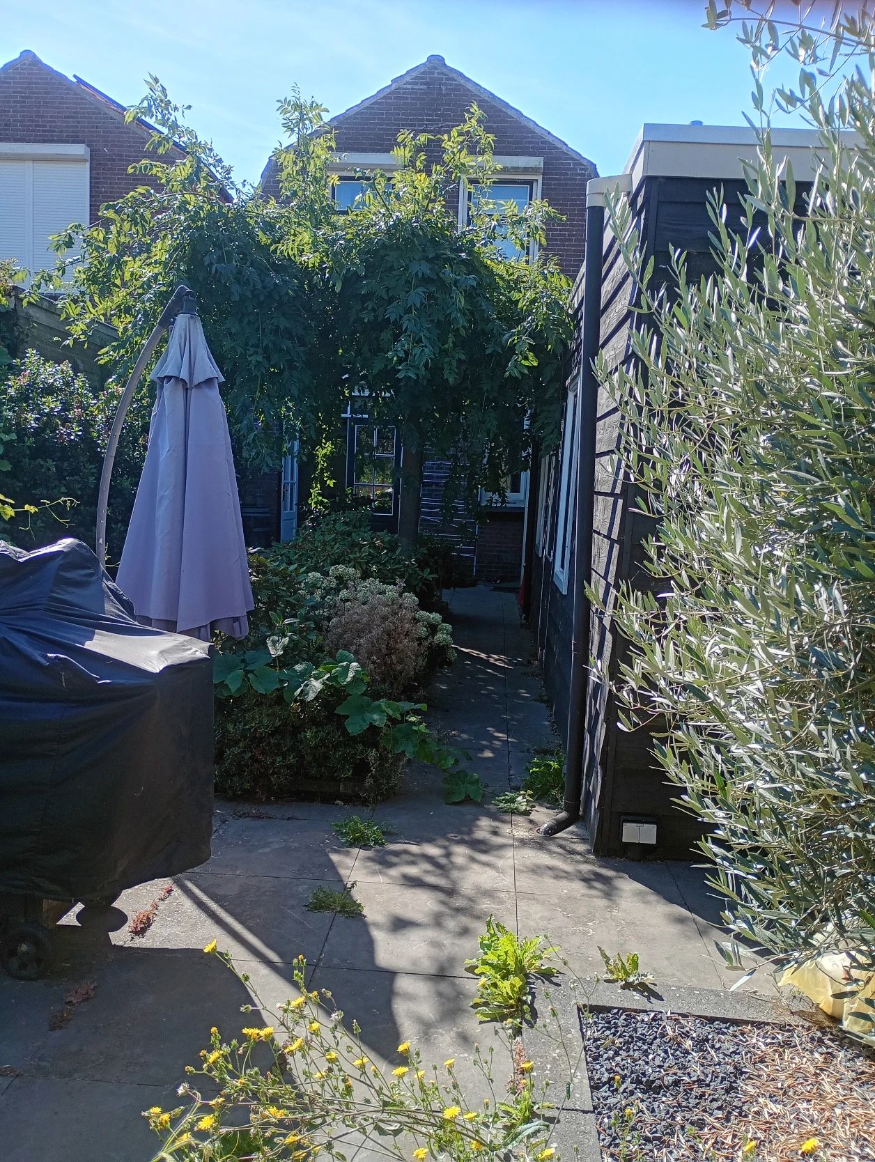 image-16