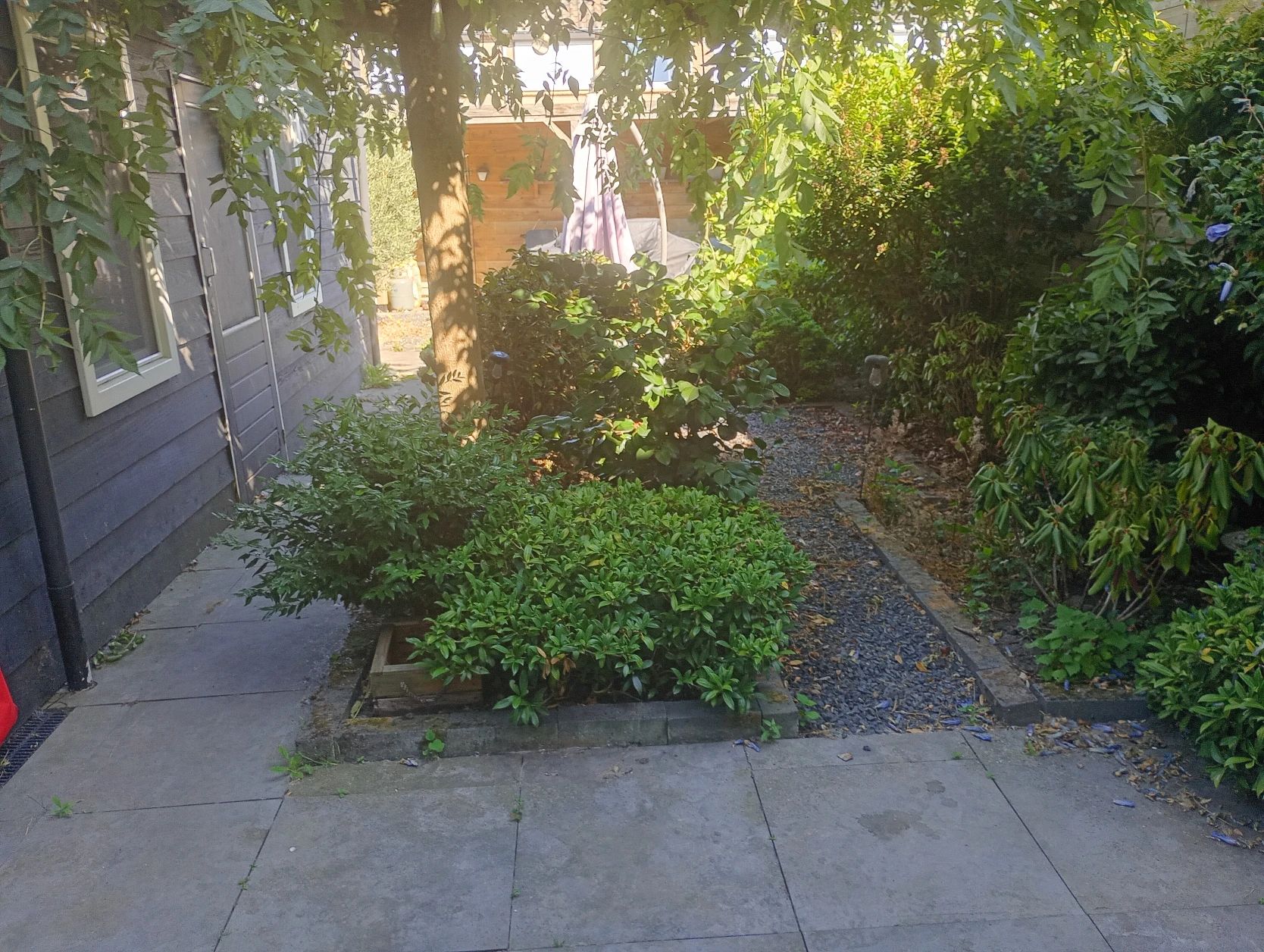 image-14