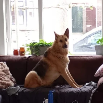 Kaiser