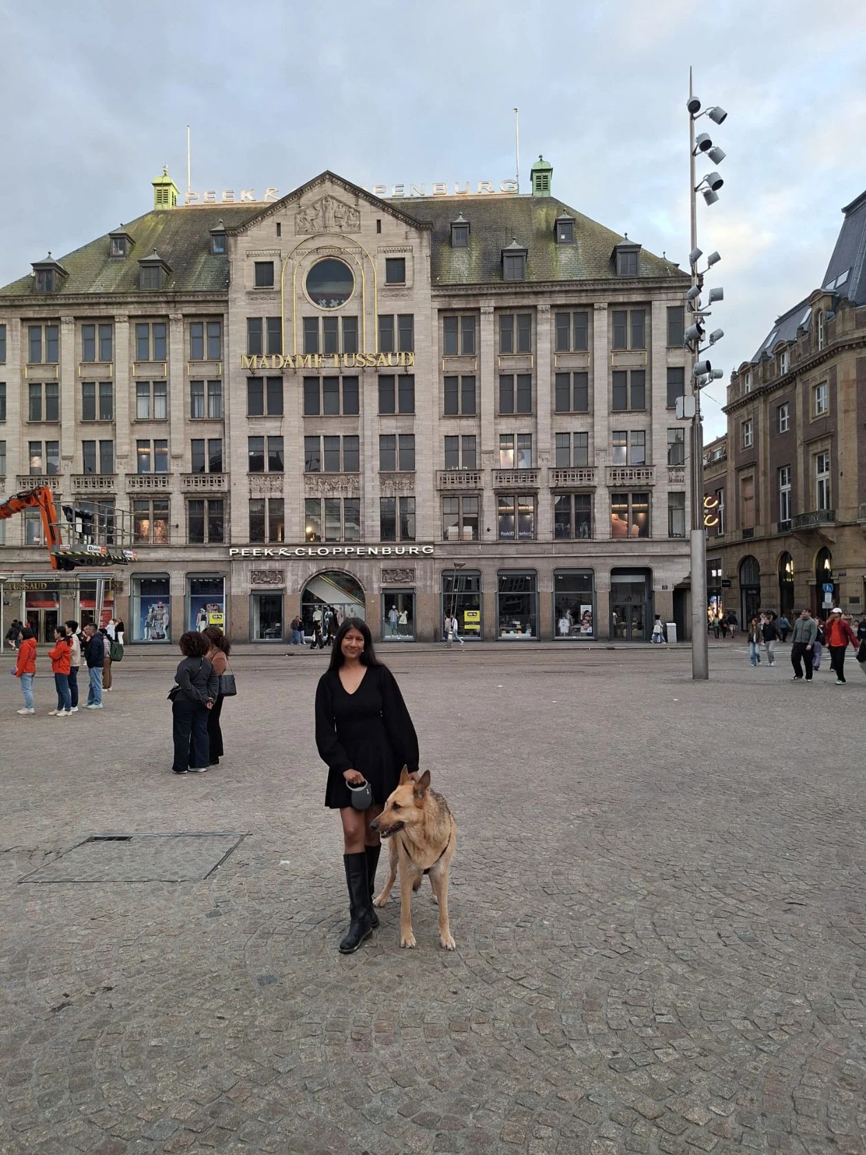 image-8